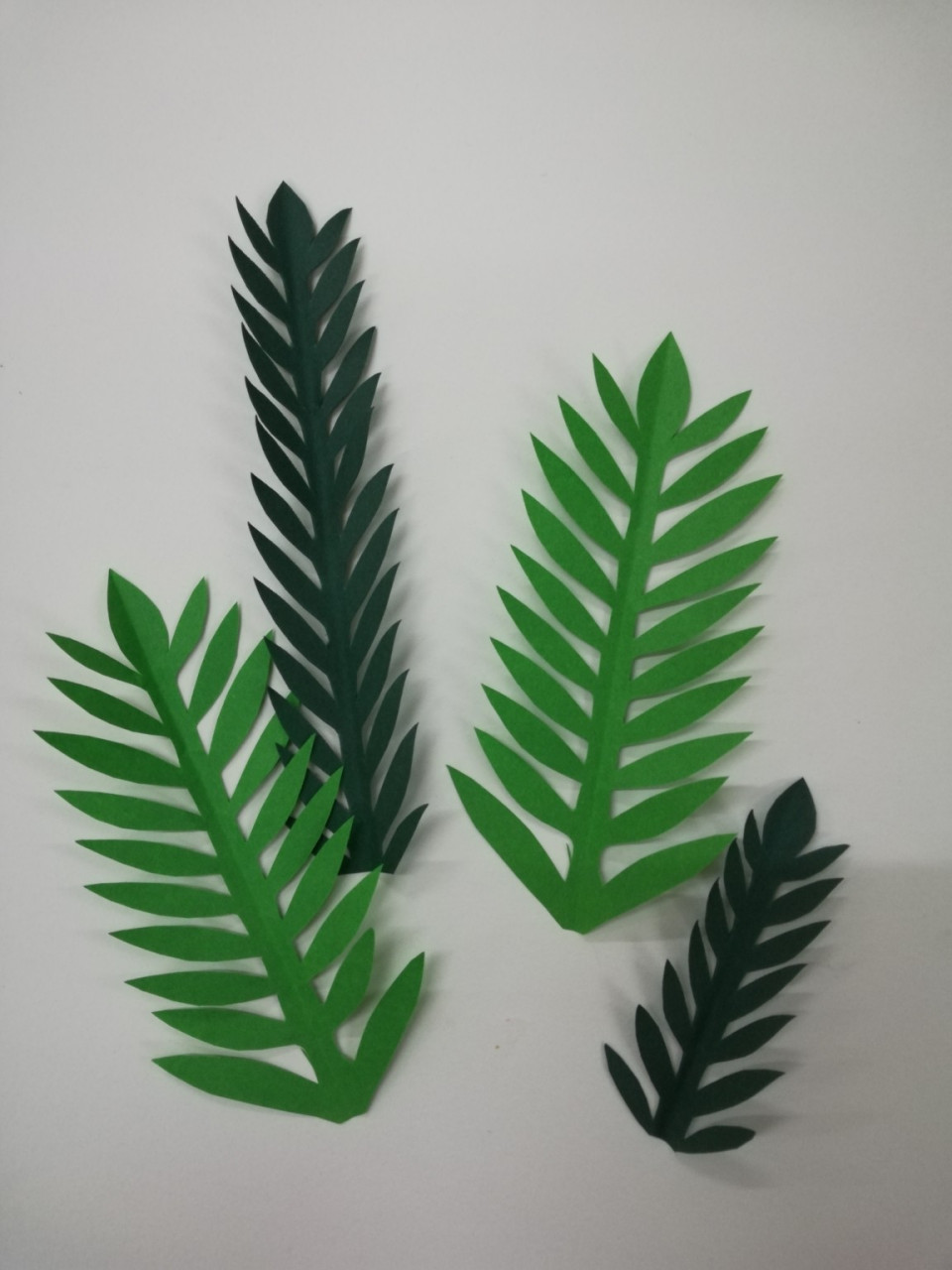 树叶草叶剪纸 森系 图片教程  纸艺环创 普通折纸,彩色打印纸,色卡纸