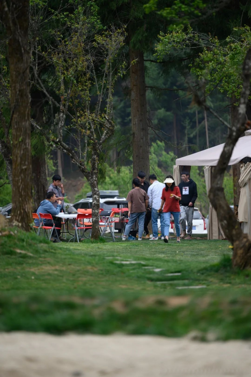总要去趟腾冲吧# 【腾冲归云庄】这是一个夏日森林打卡地,这里密林