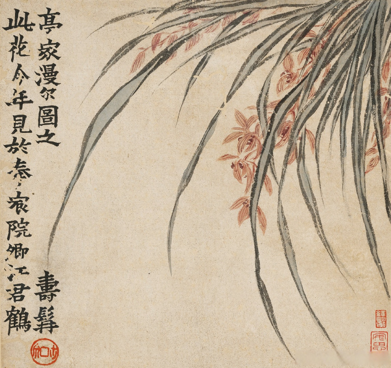 【 画家金农花鸟画《杂画册》】