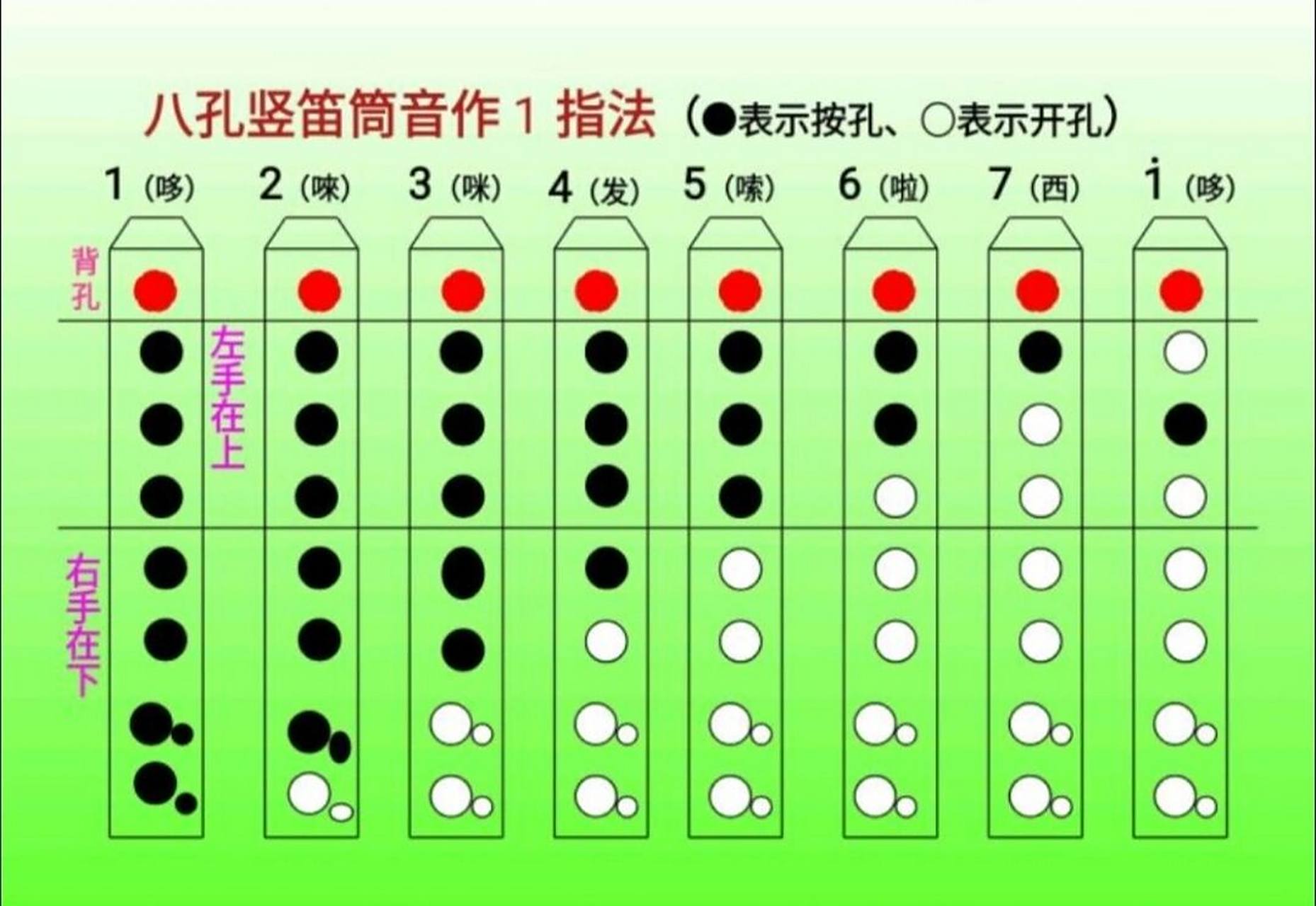 八孔竖笛指法图表 竖笛指法表来啦^o^7070
