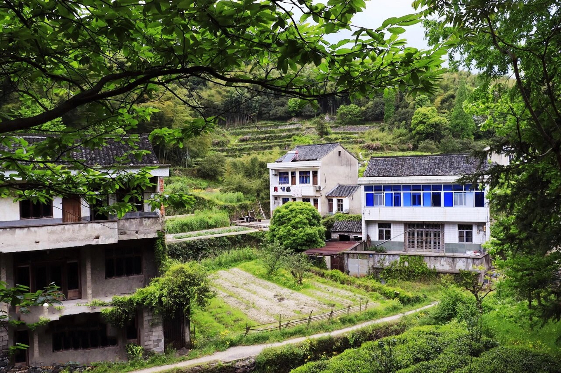 陆埠宋岙村图片