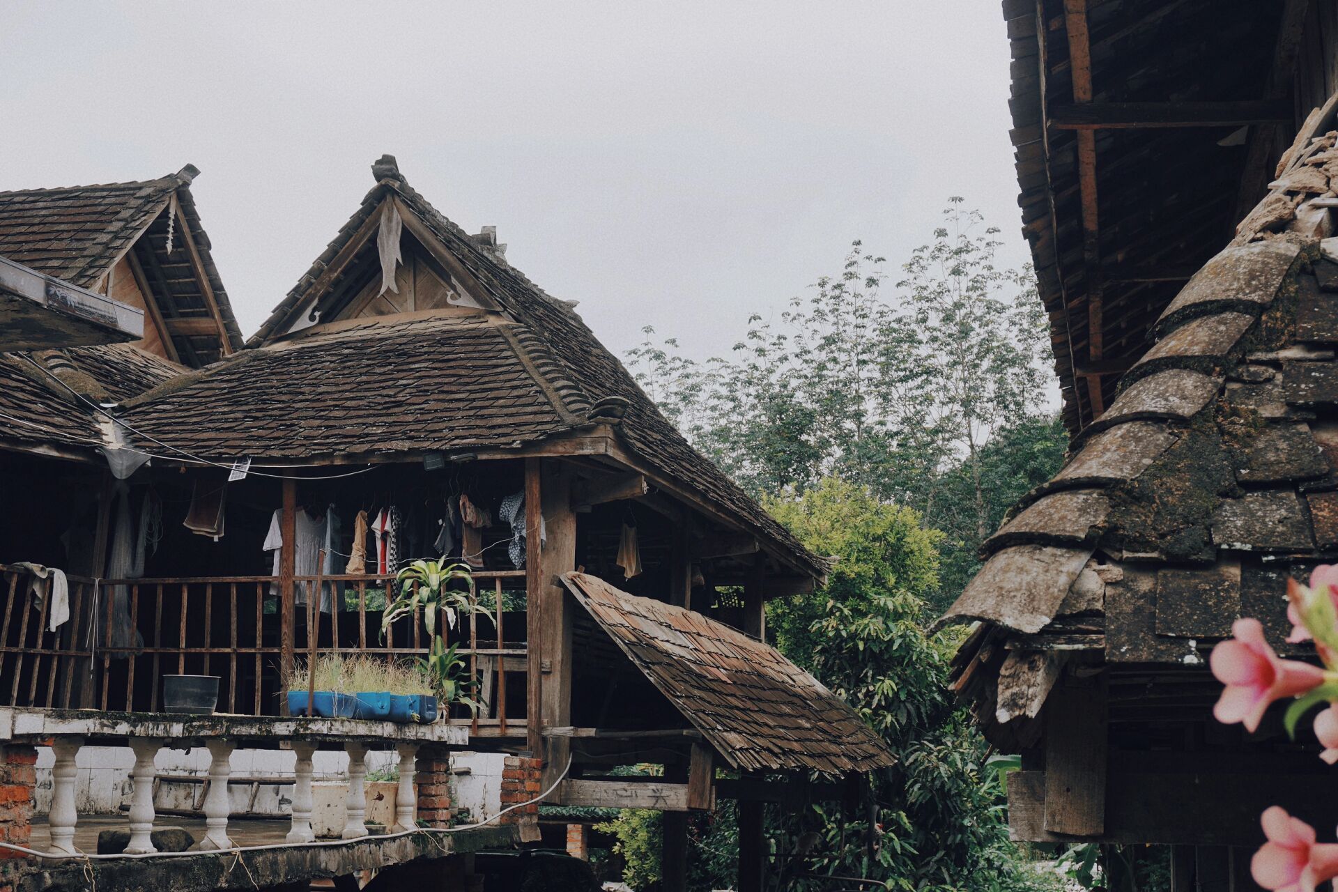 云南西双版纳曼掌村———傣家古寨