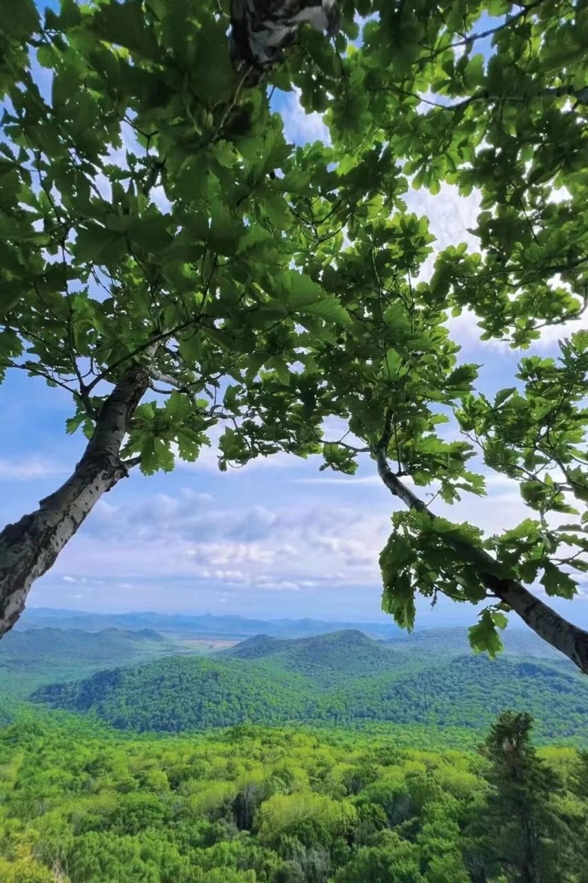 哈尔滨遛娃好去处之15座必爬山 1.香炉山 99宾县益阳村 2.