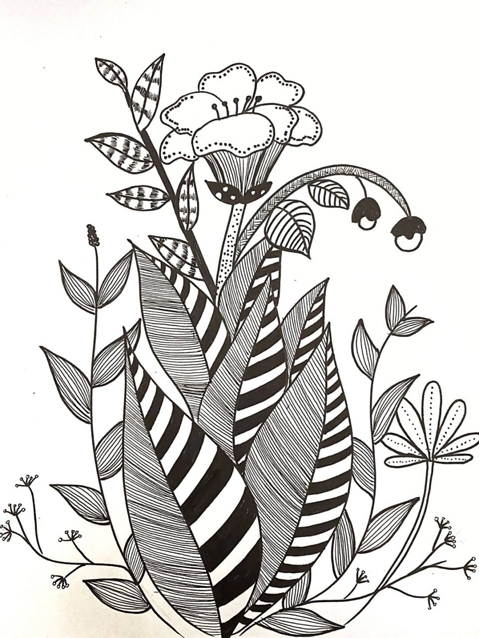 花卉线描画 #花卉# #线描# #黑白线描# #植物线描