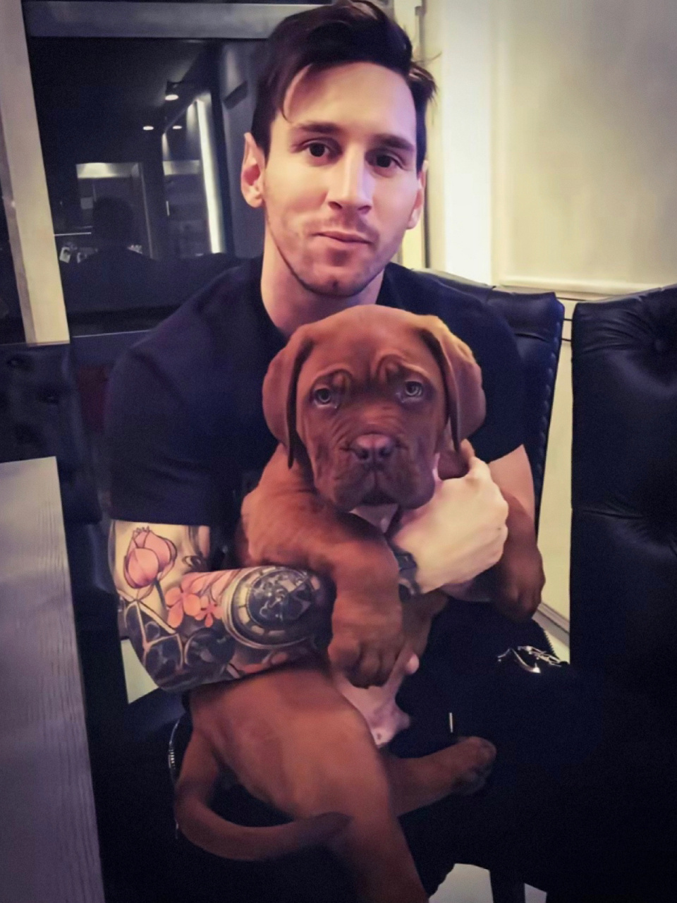 球王梅西的狗浩克7515果然相当霸气7515 梅西的狗狗名体型