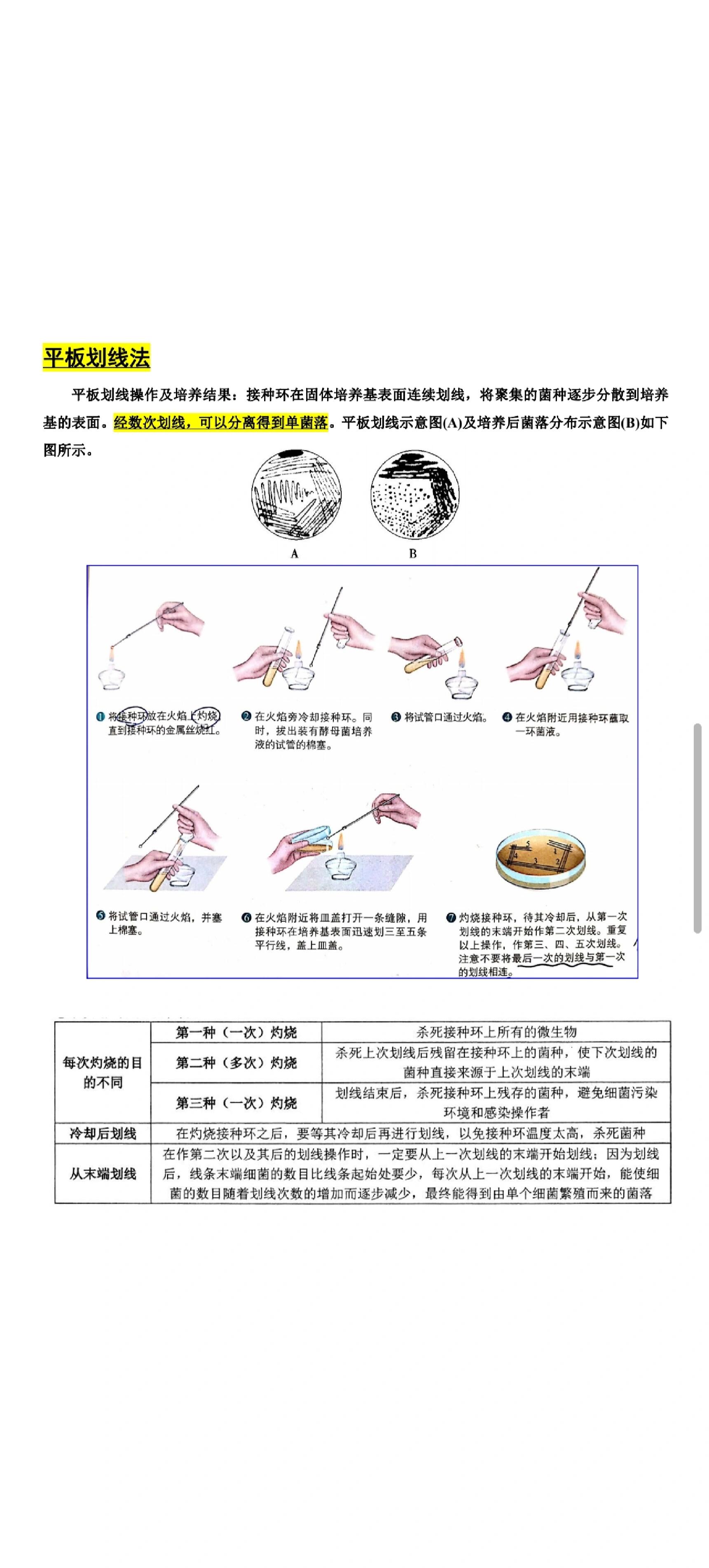 63高中生物一轮复习资料 无菌技术 微生物纯培养 平板划线法