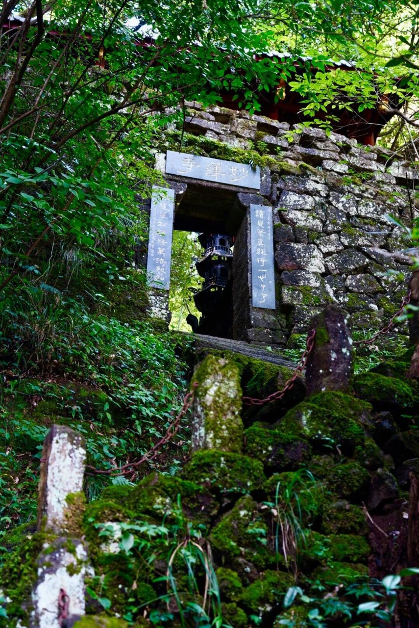 带你了解武夷山正岩山场——莲花峰 95 莲花峰,是武夷山风景区