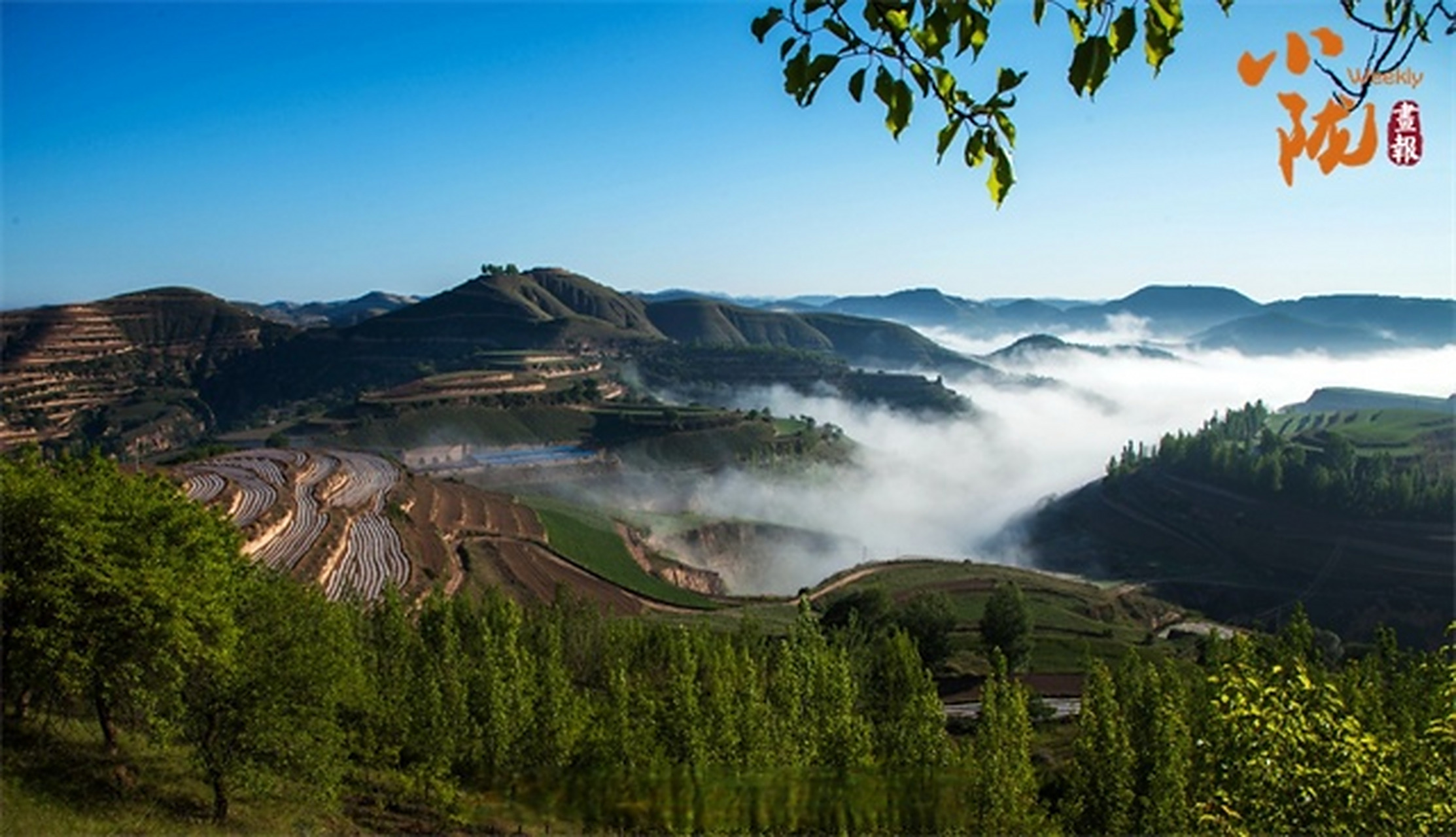绿染华池 红色热土新画卷 交响丝路·如意甘肃 #庆阳文化旅游#   华池