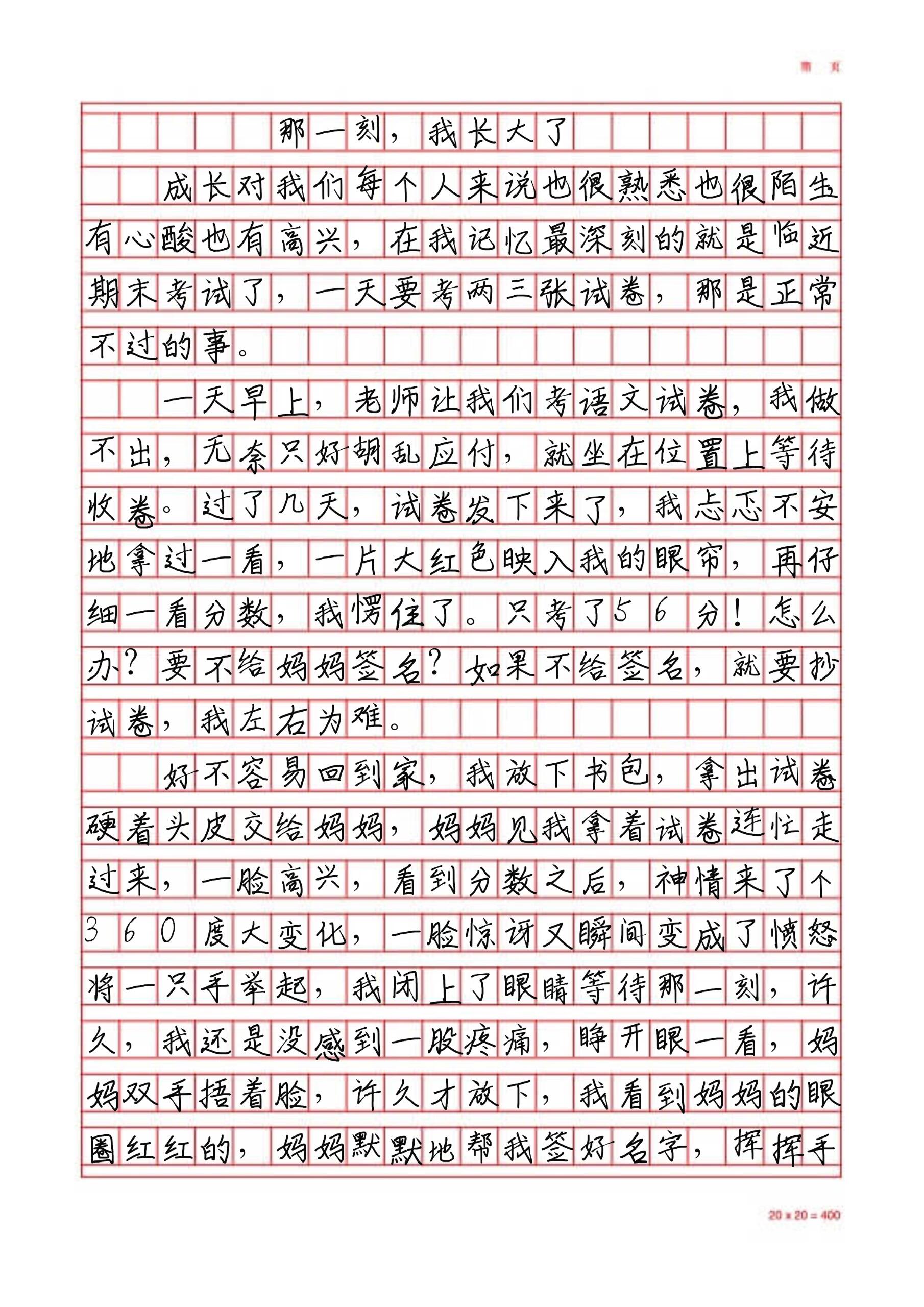 那一刻我长大了50字图片