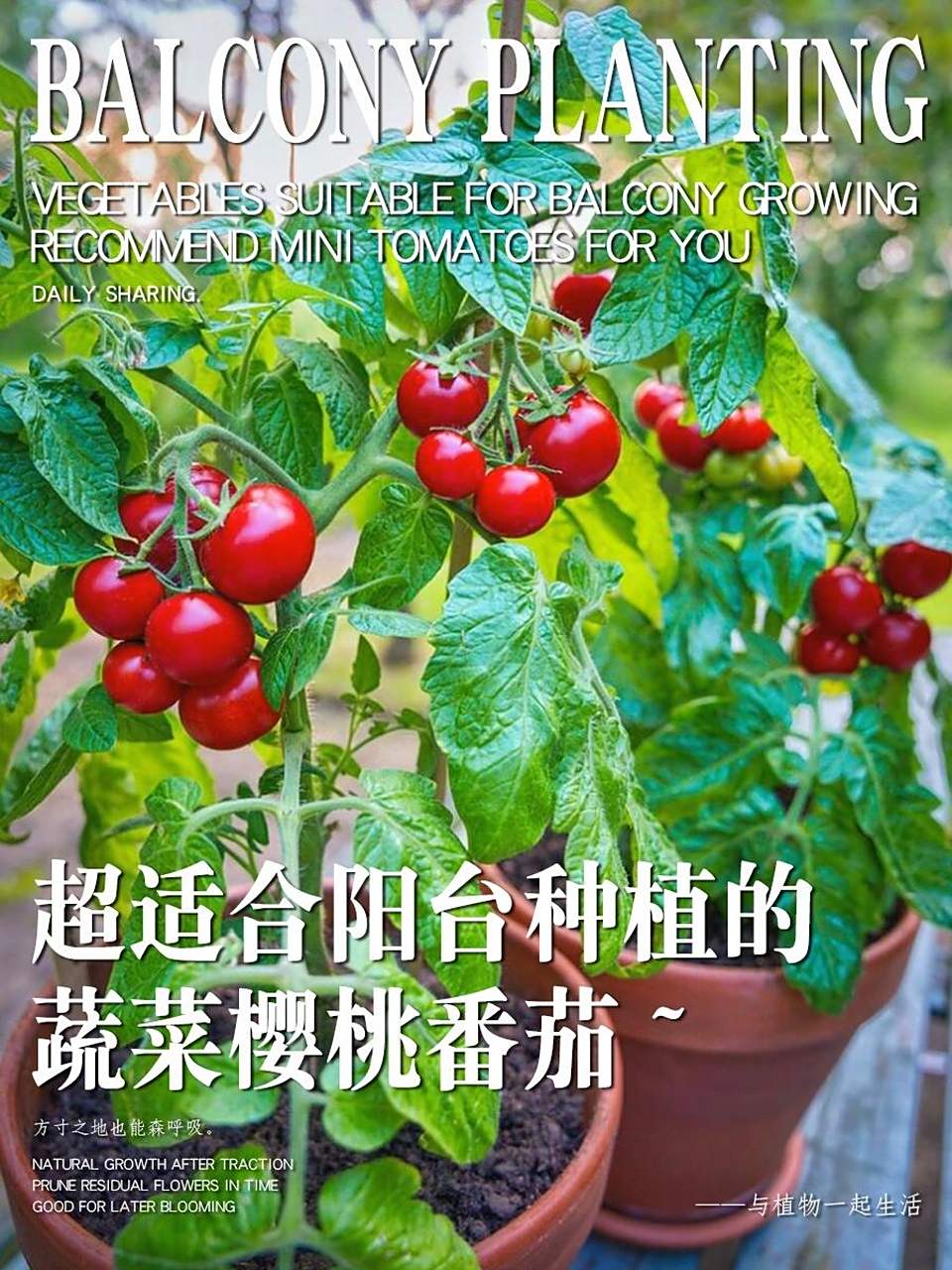 三月种植什么蔬菜(三月种植什么蔬菜大全)