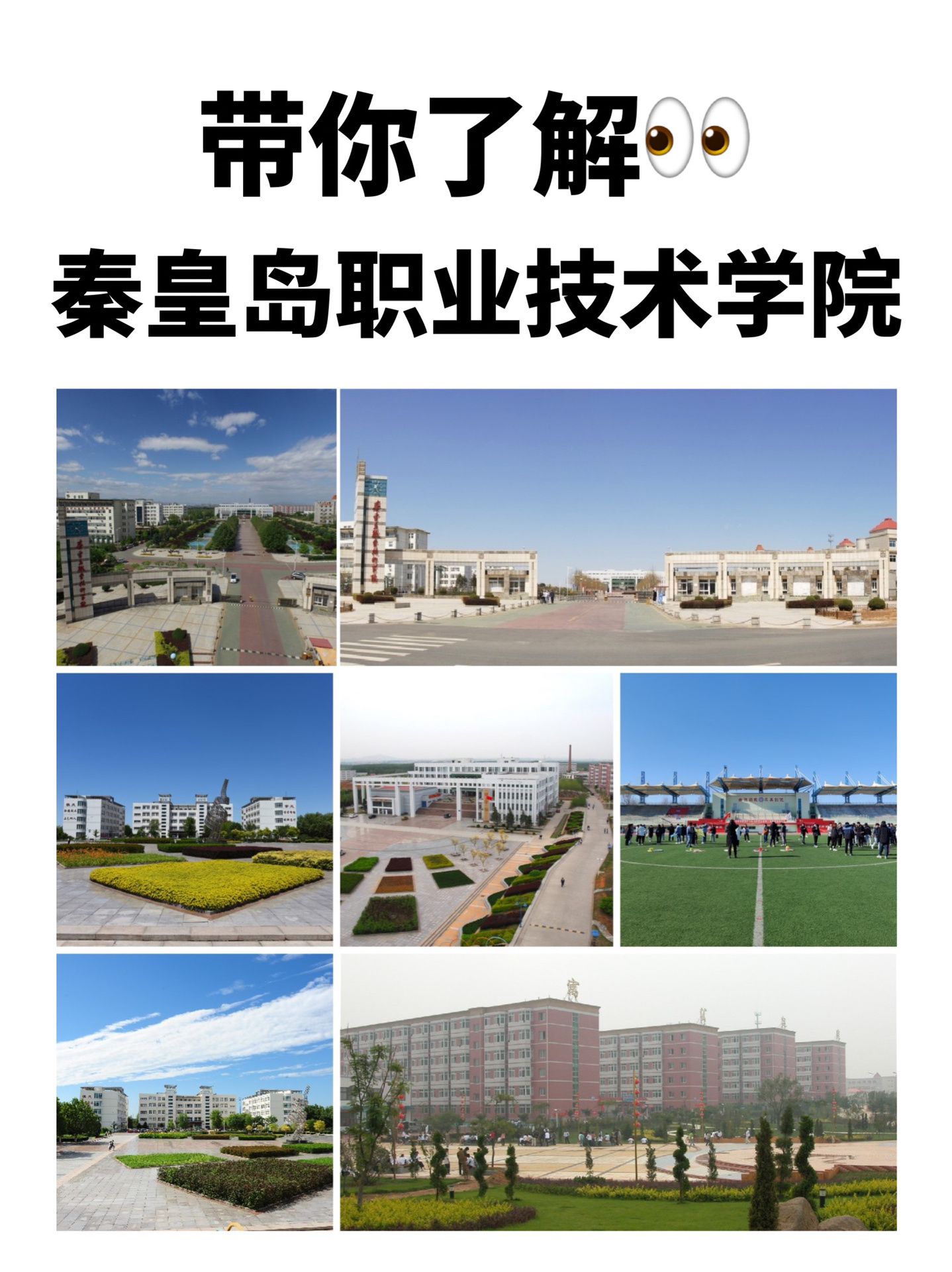 秦皇岛北戴河大学图片