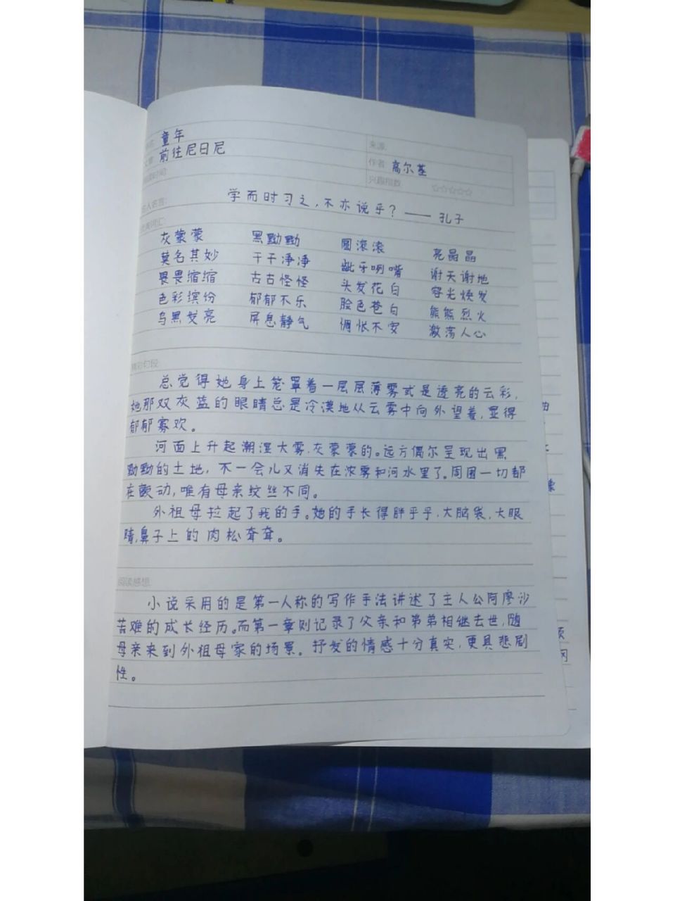 高尔基《童年》读书笔记92摘抄   《童年》读书笔记来了 可抄,抄完