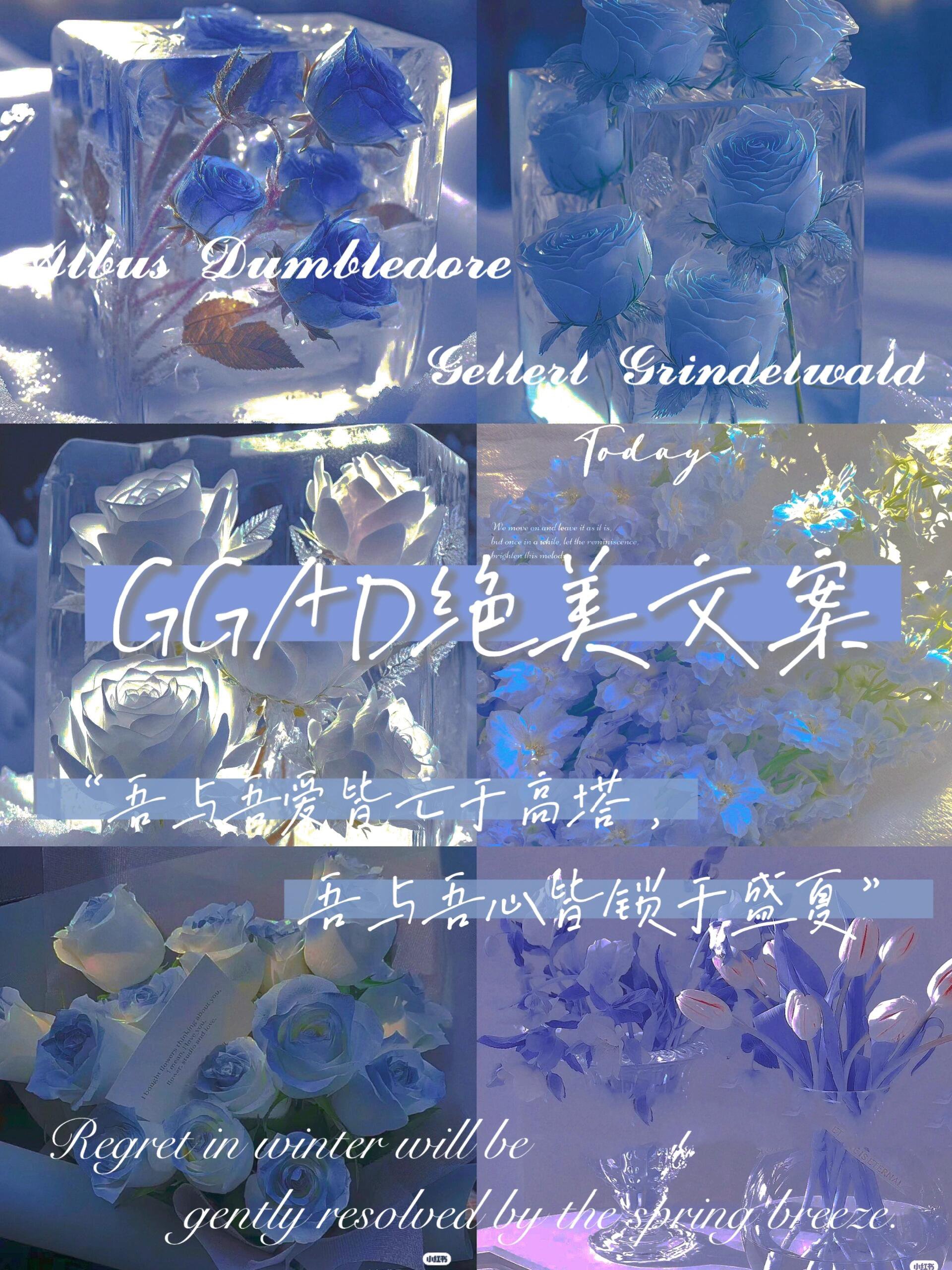 玫瑰花文案伤感图片