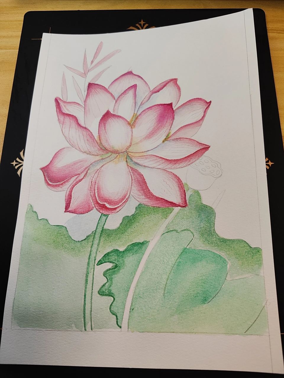 水彩荷花(附步骤) 我只喜欢画荷花,和我亲近佛法有关.