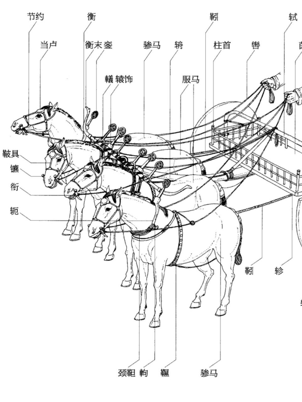 汉语中的雅致马具名称(含車) 似风似龙 中国古人从不吝啬将最美好的词