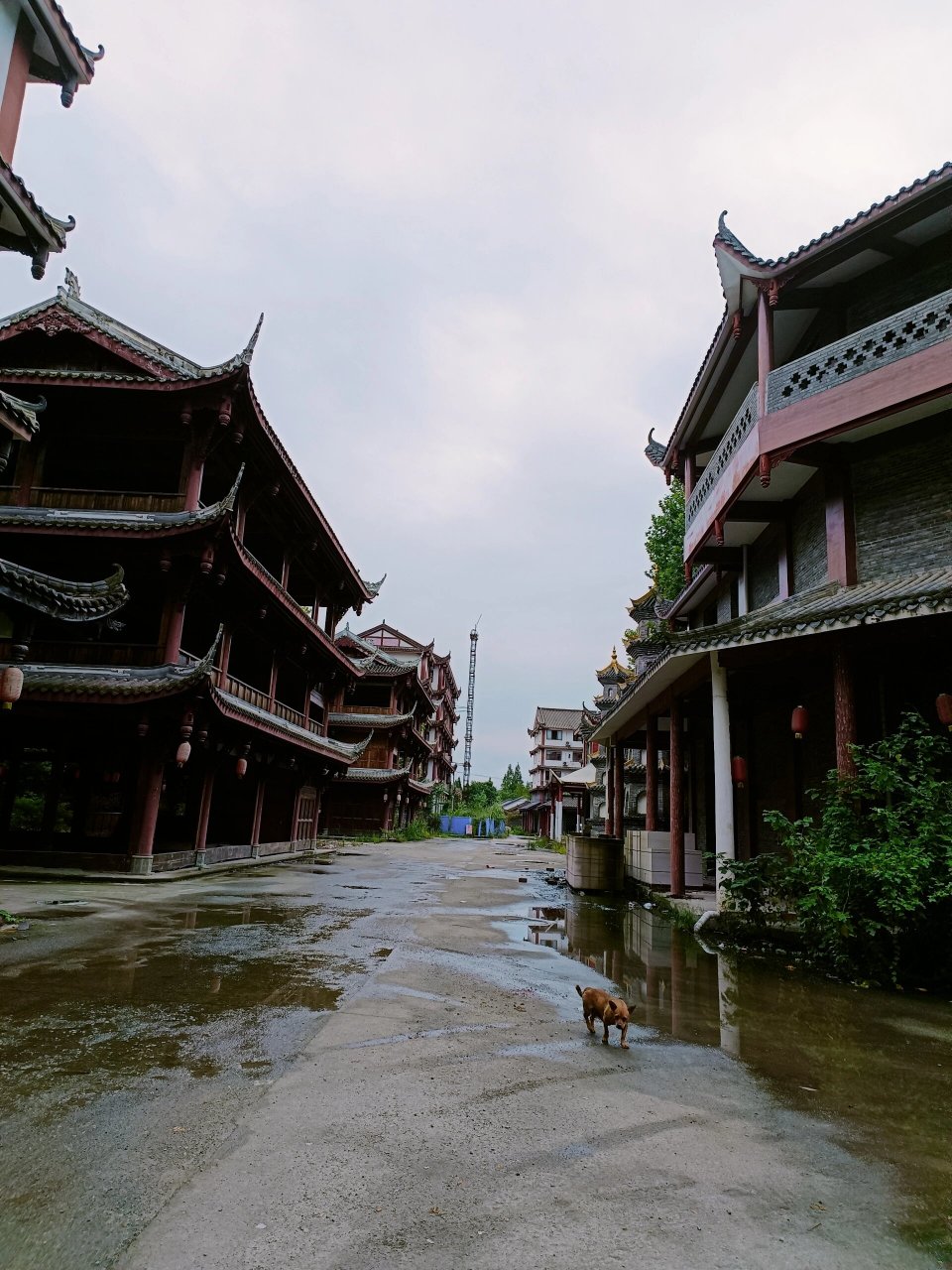 寻迹千年古镇|徐渡 都江堰市石羊镇,是古青城县遗址所在地,自古即为