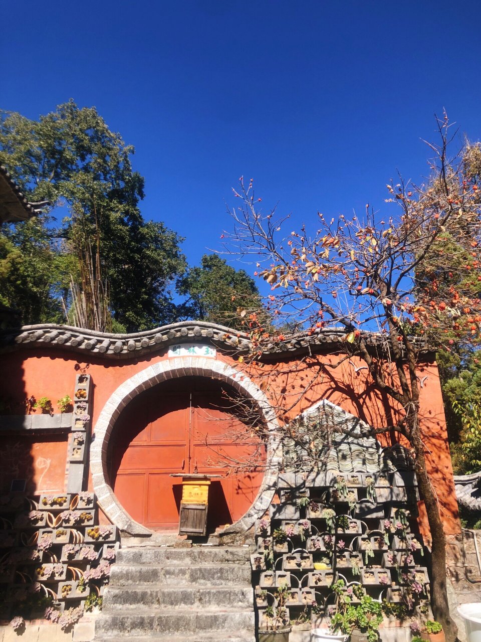 大理感通寺|爬苍山吃斋饭 96之前去了寂照庵吃斋饭,这次又来到了感
