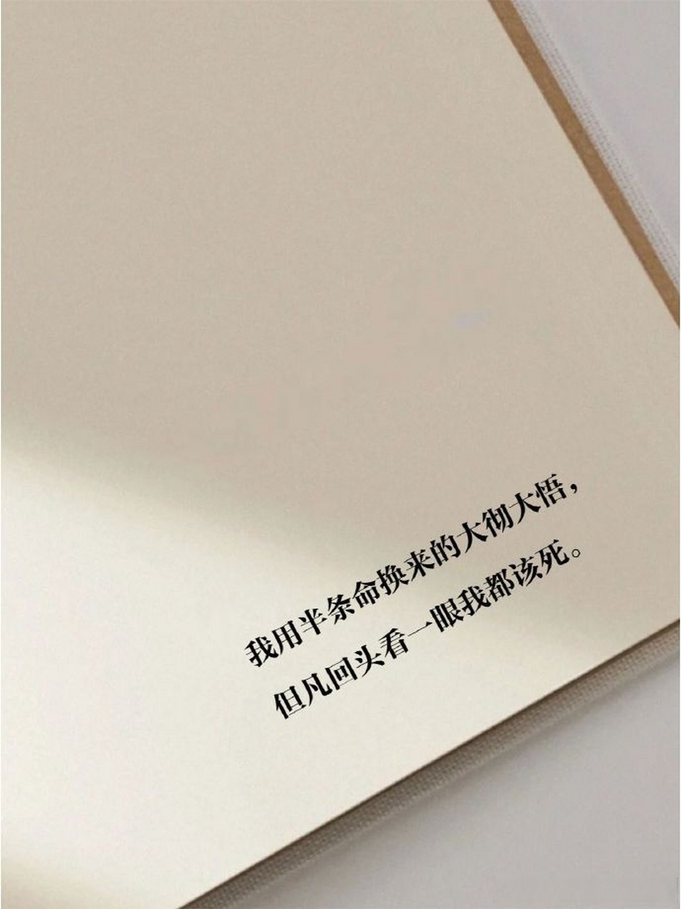 谁影响我,我就放弃谁!  #文案# #情感# #头像# #书籍