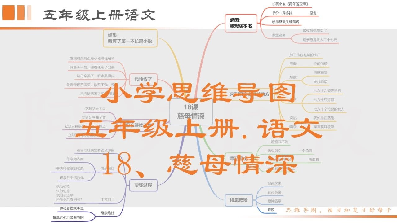 五上语文《慈母情深》思维导图 小学语文五上《慈母情深》思维导图