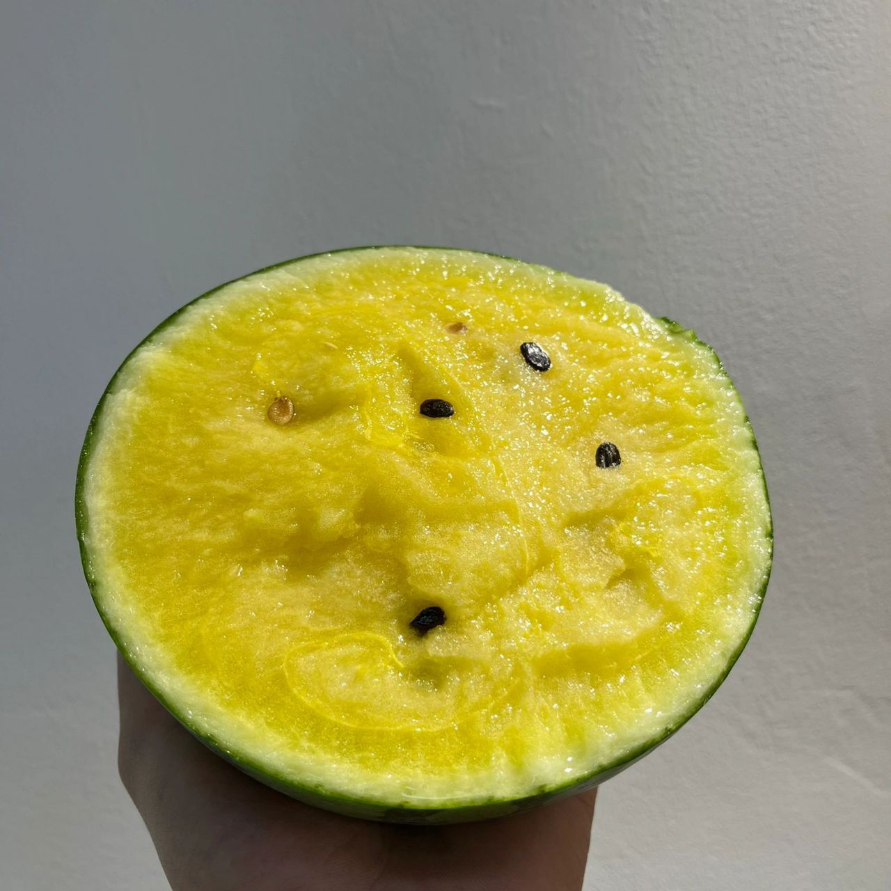 来自东方的西瓜新品种-黑金西瓜黑皮黄肉 独特的芯环同甜,果肉中心糖