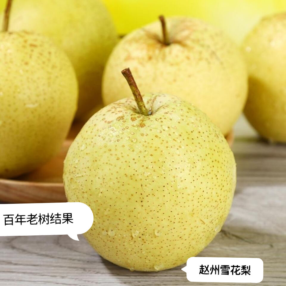 30元/十斤装 正宗雪梨～赵州雪花梨   雪花梨的功效:生津止渴止咳.