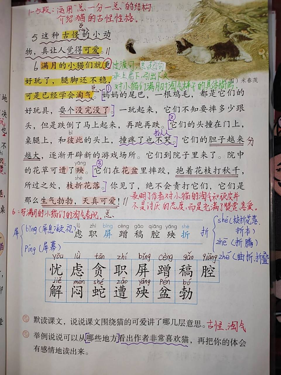 四年级下册语文第13课《猫》课文笔记 #教师备课# #四年级下册语文