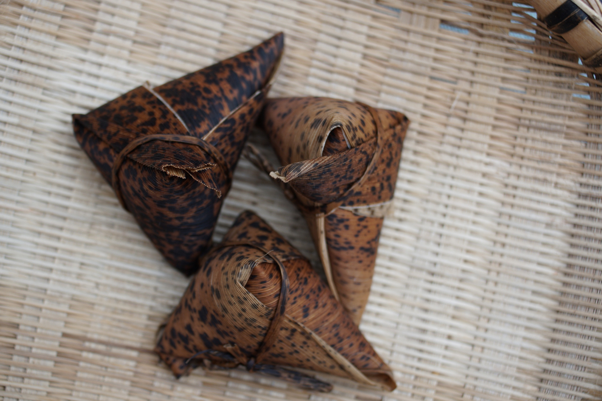 在成都蒲江过端午节才知道,原来可以用竹笋壳也就是笋衣可以用来包