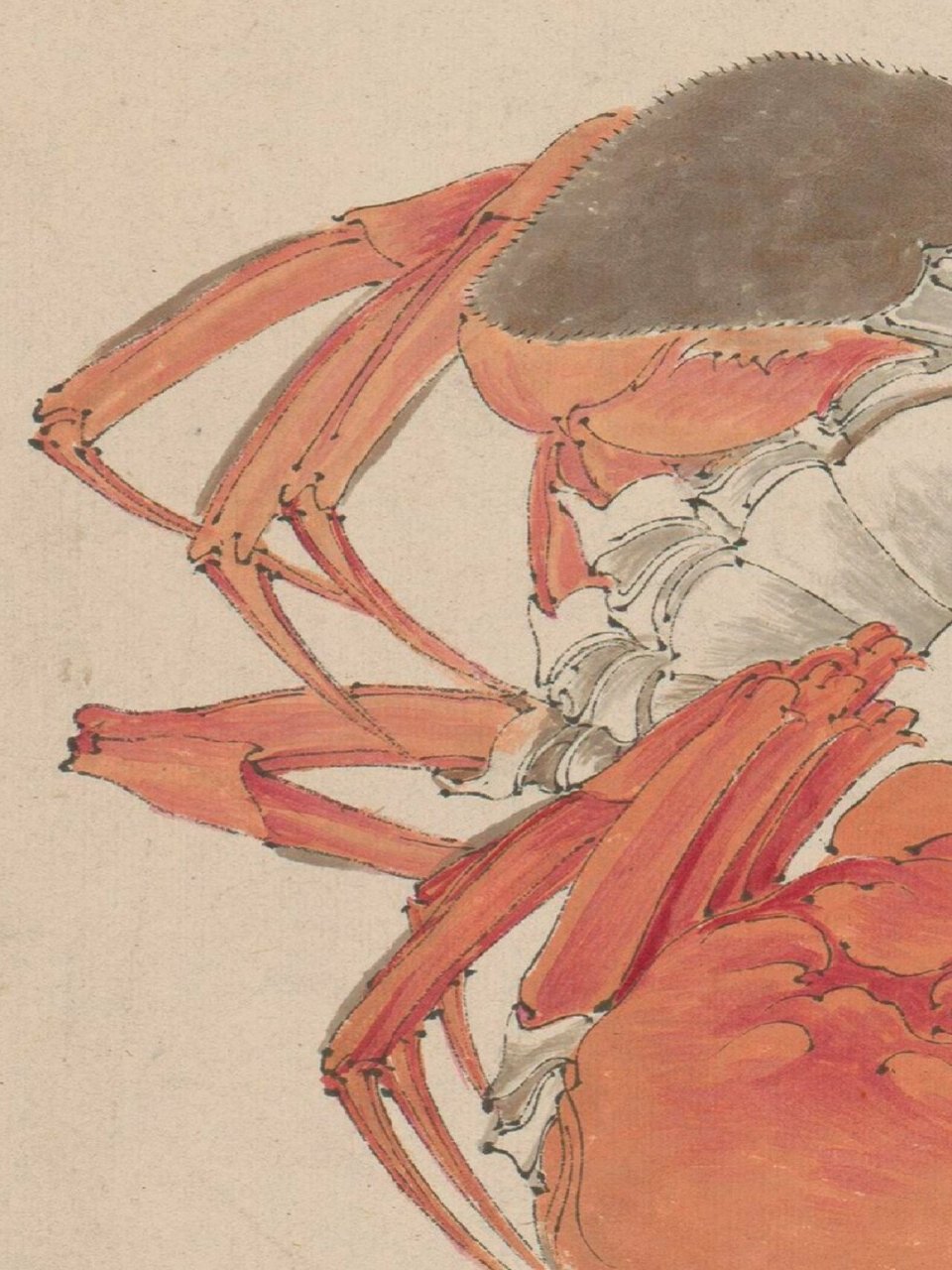 第149幅《菠萝菊蟹图》清(任伯年) 任颐(1840年-1895年),初名润,字伯