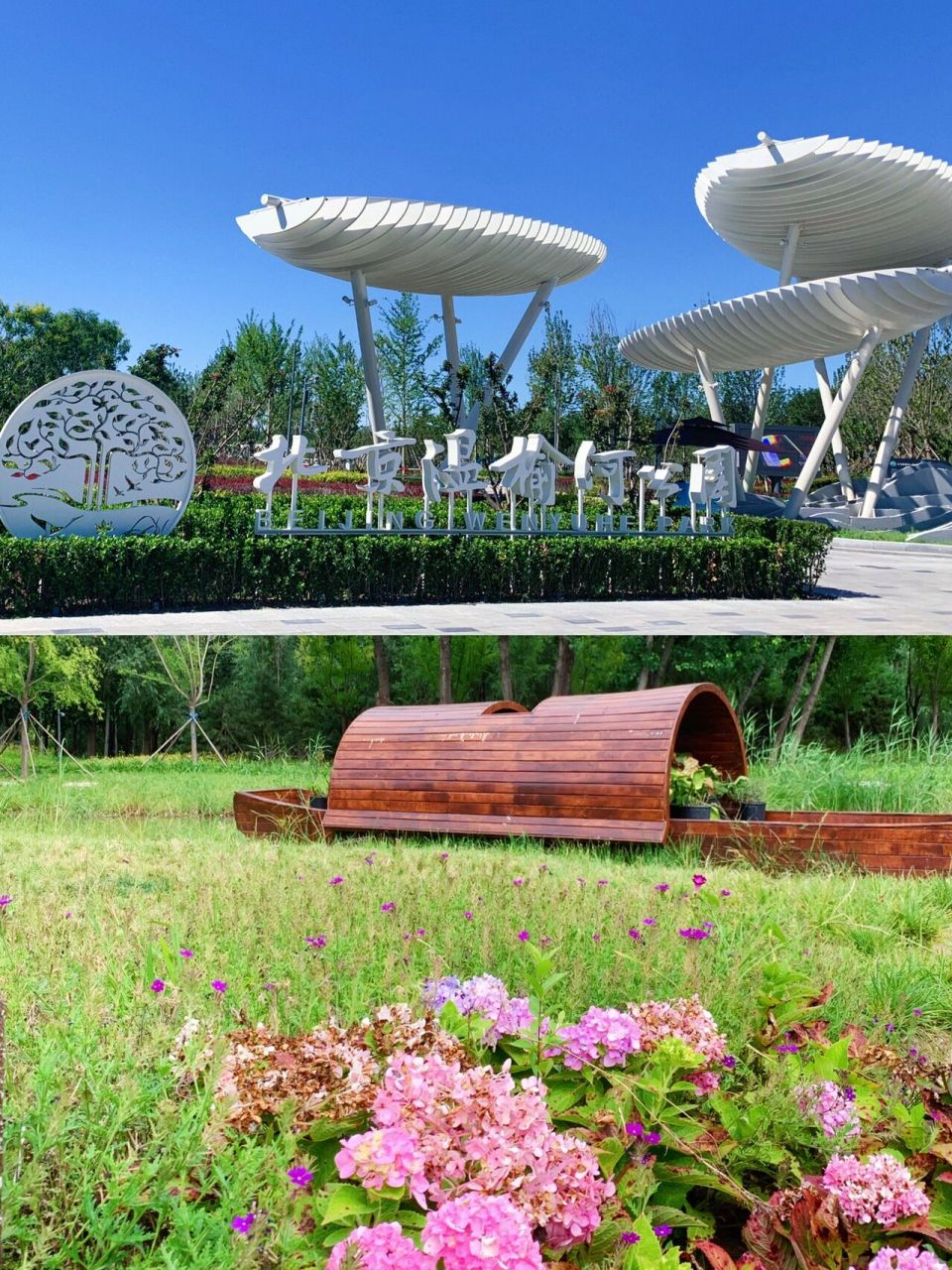 北京遛娃|顺义区一步一景的免费公园 96 北京温榆河公园(故城记忆)