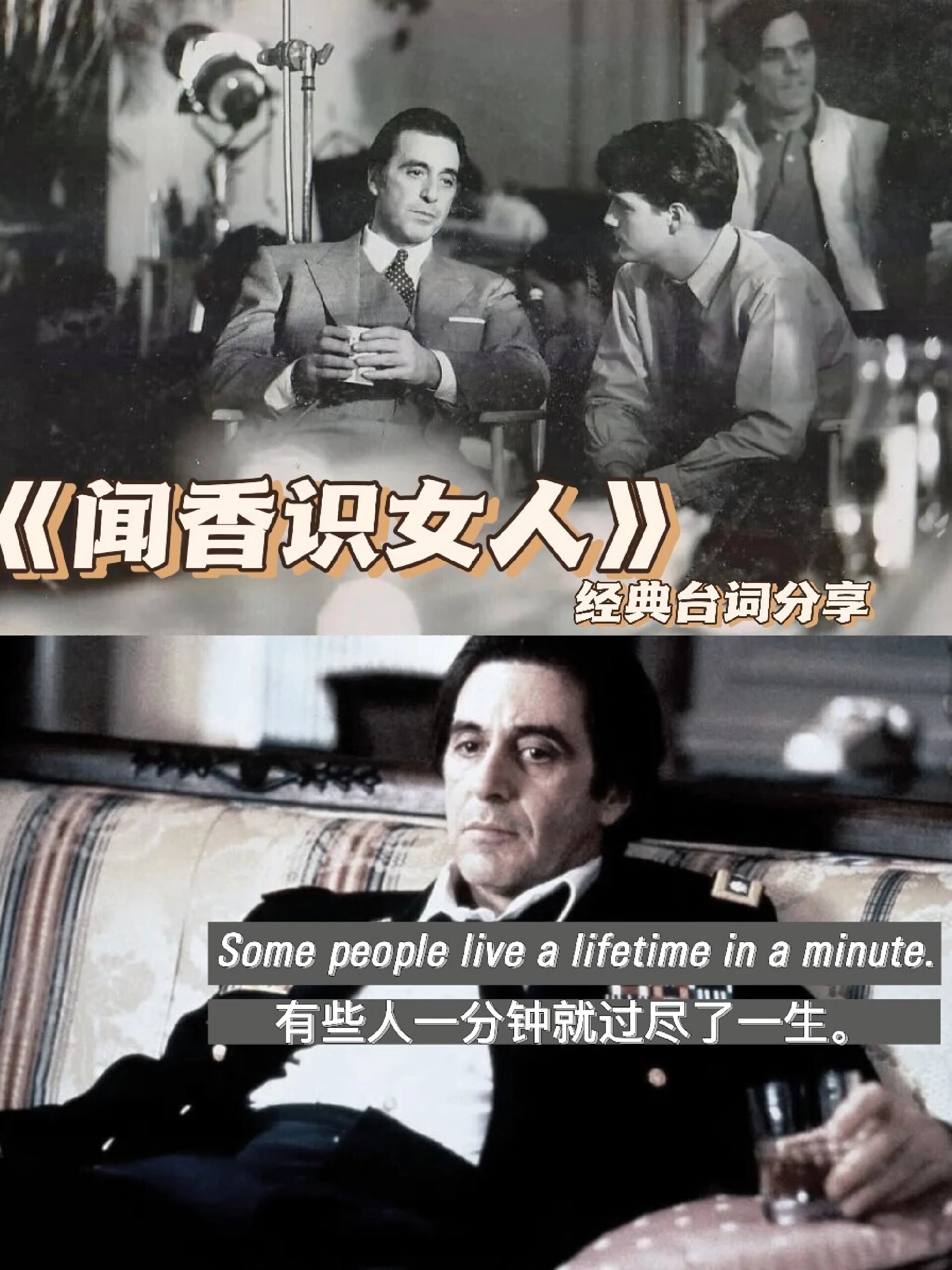 文案分享|90闻香识女人  经典台词