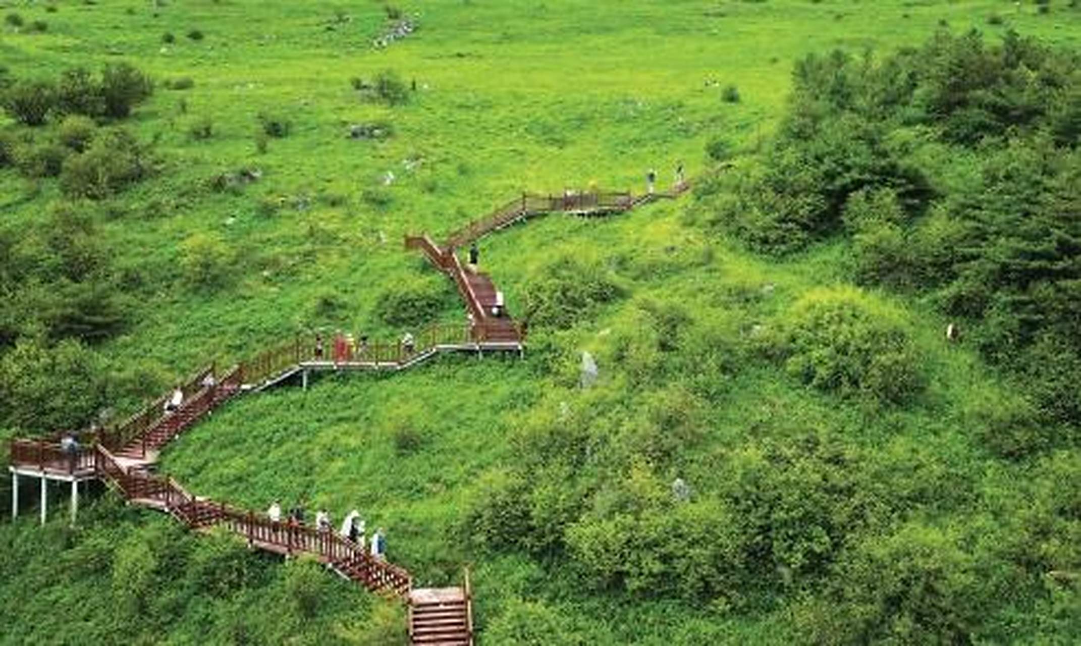 这是游客在陕西省汉中市留坝县紫柏山国家森林公园游玩.