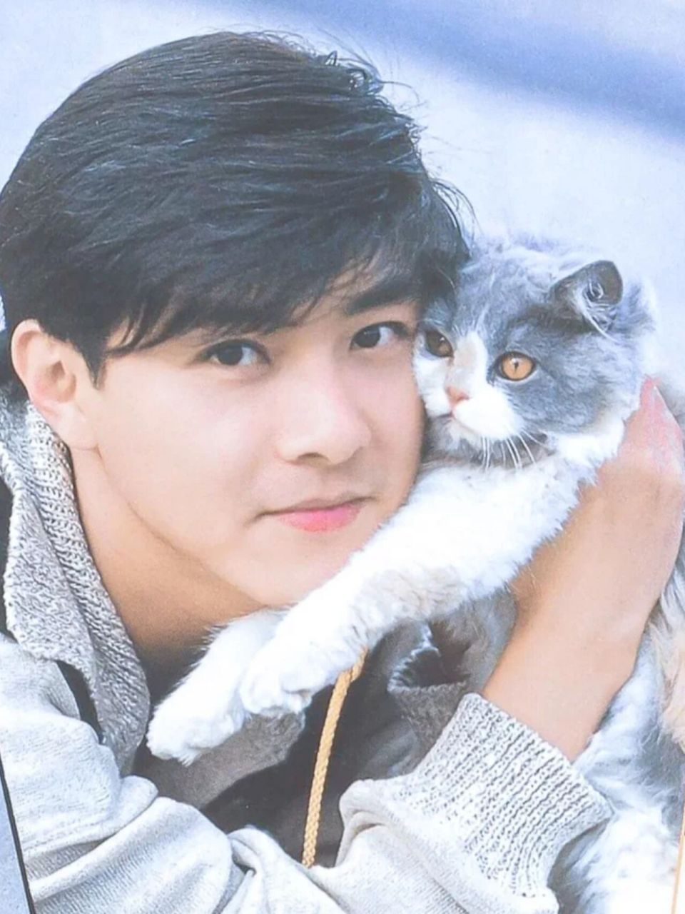 年轻时的张卫健太9315了7515 眼睛里有星星99 又灵动又有