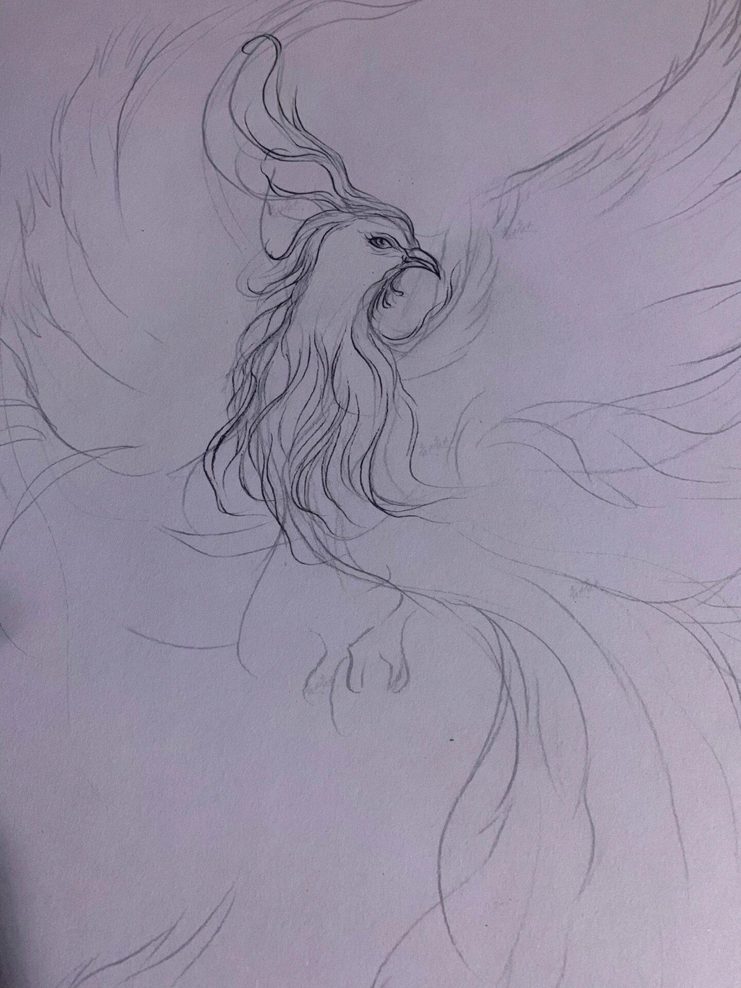 山海经异兽# #国风手绘# #山海经# #手绘# #凤凰# #鳳凰# #国风线稿