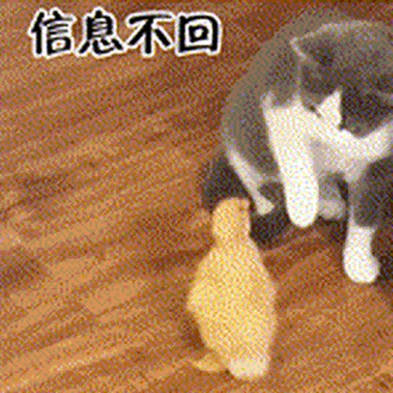 信息不回表情包