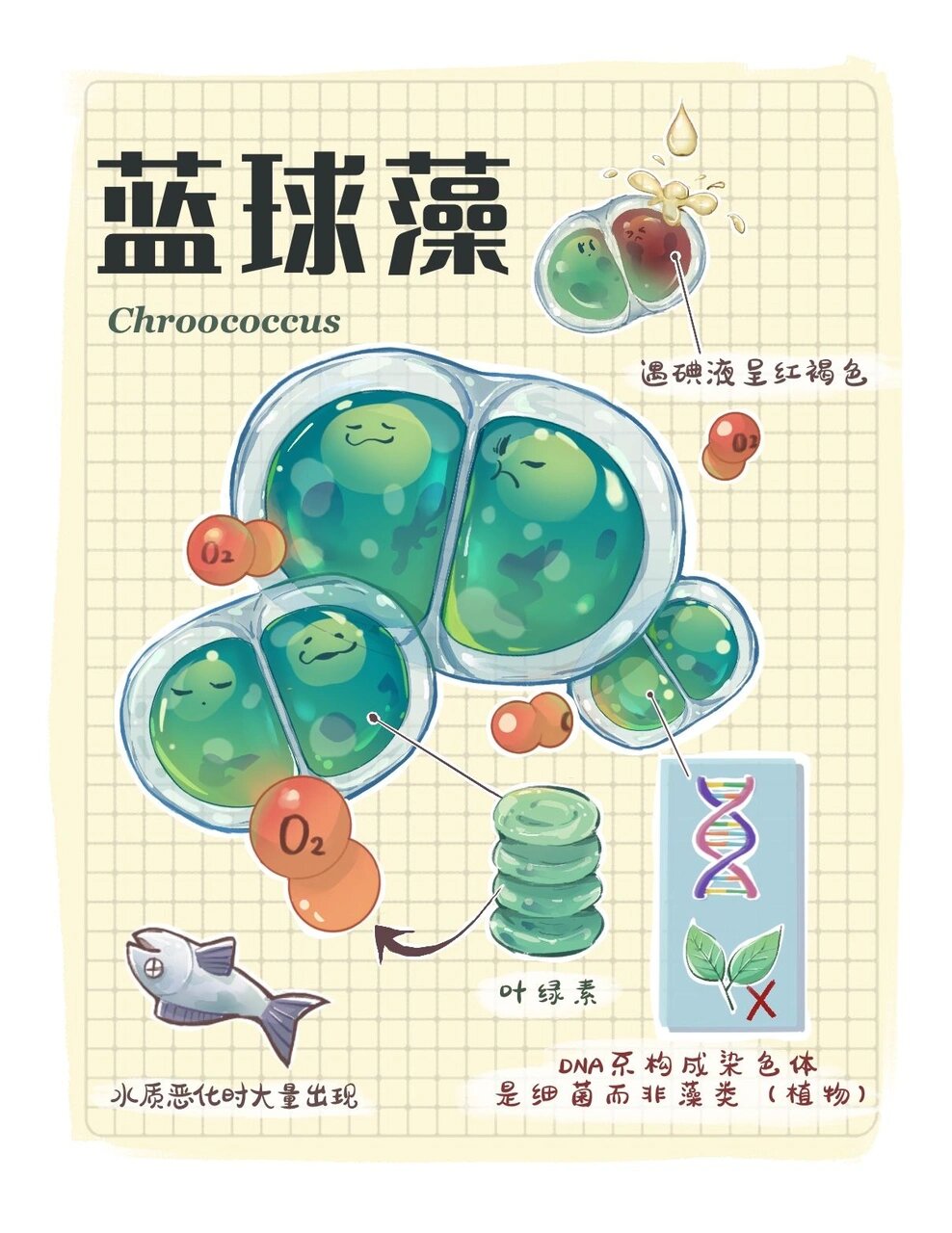 科普漫画优秀学员作业——微生物篇