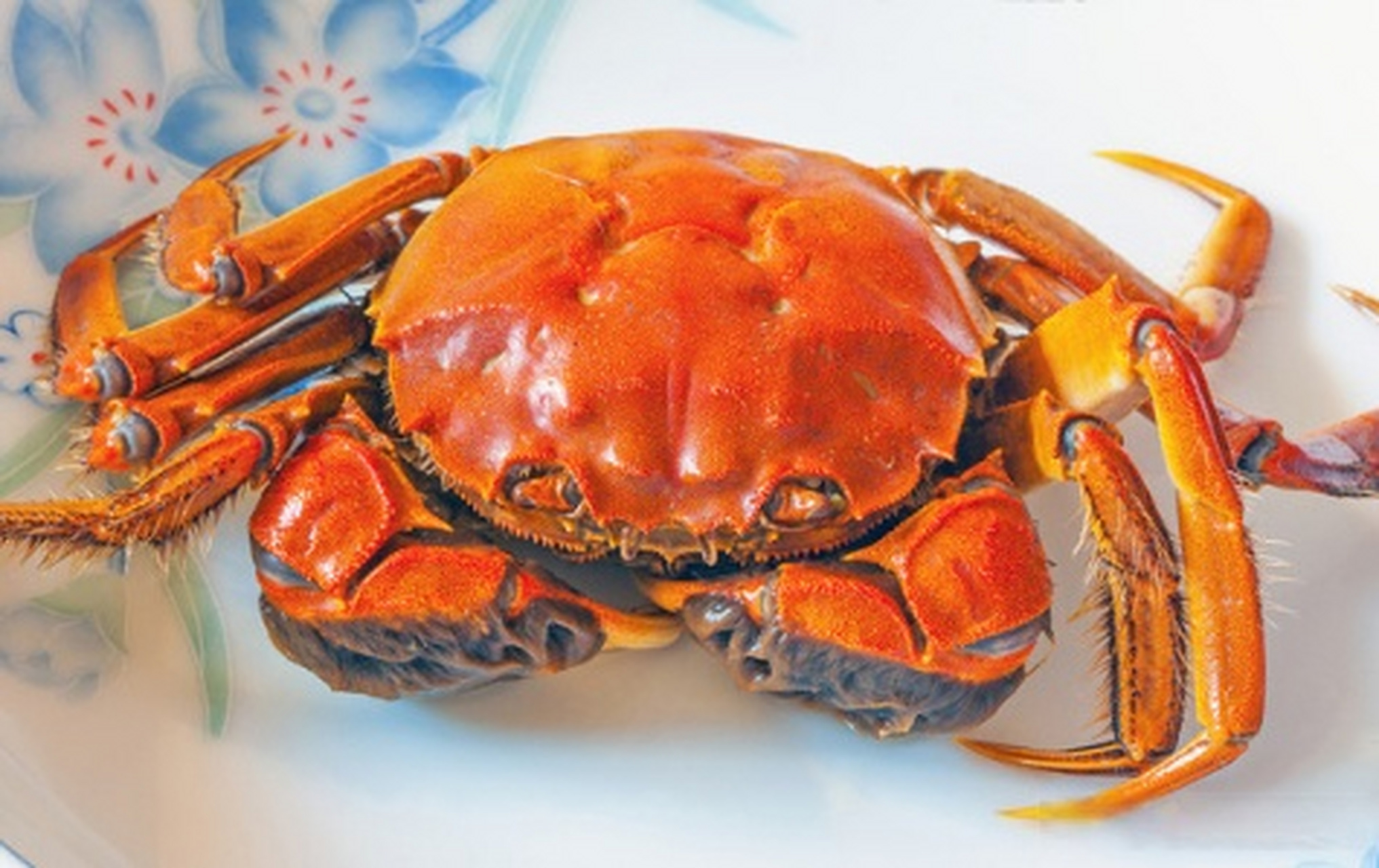 石臼湖螃蟹历史上称为曾称"花津蟹",为我国传统三大名蟹之一;其历史