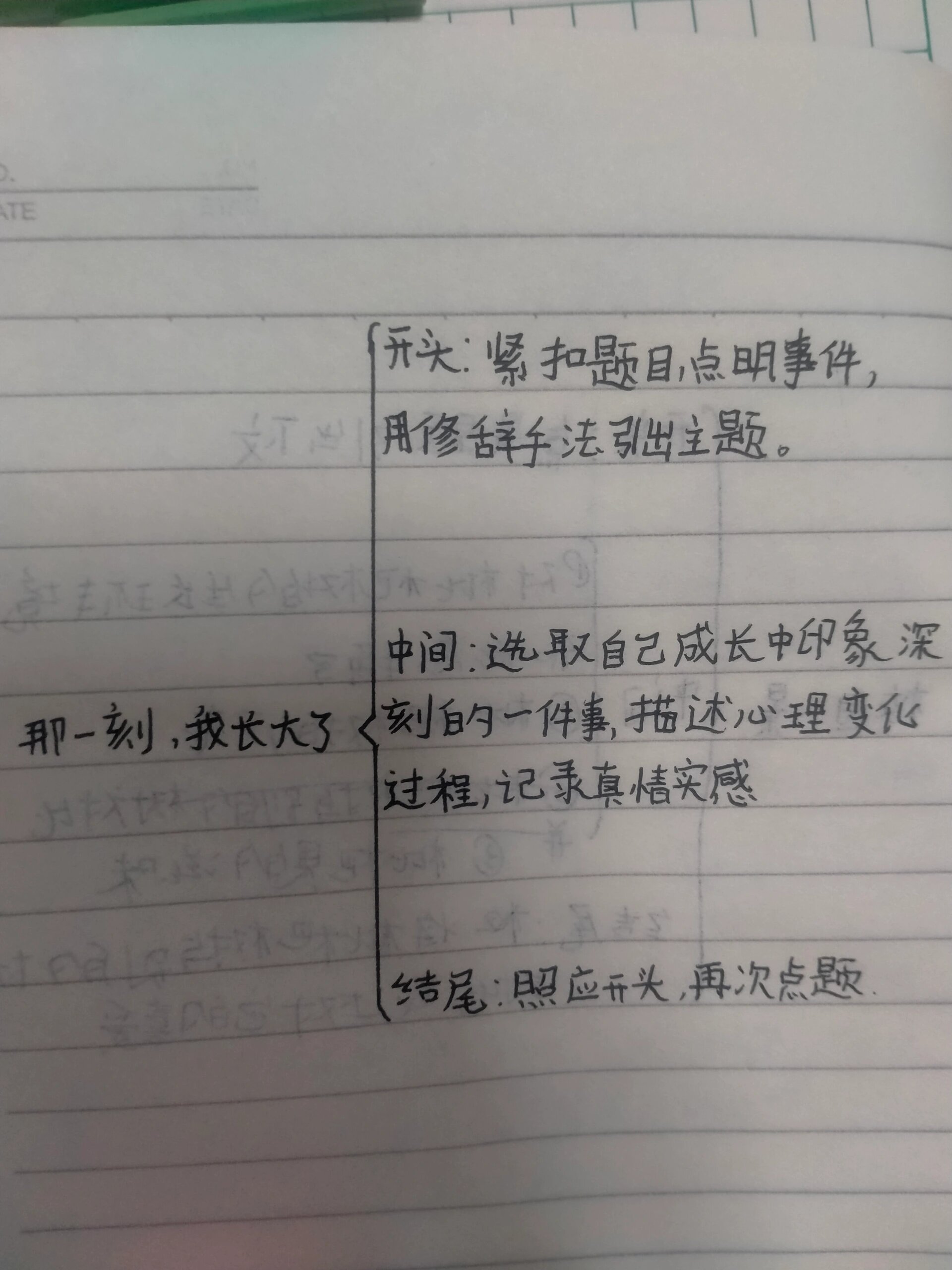 《那一刻长大了》作文提纲
