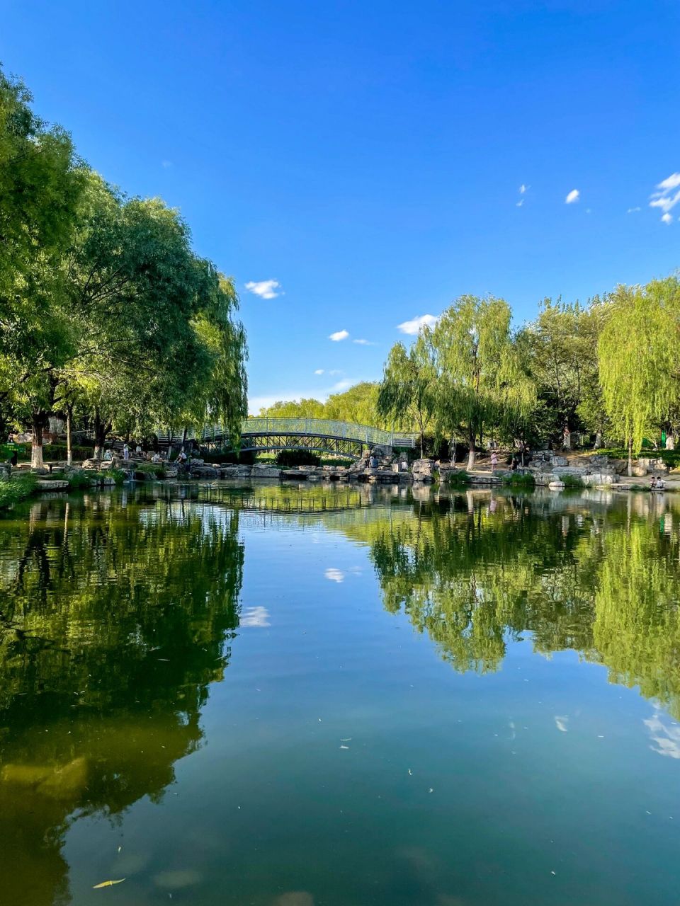 亲子游|包头市世界鹿园 有山有水 为啥叫世界鹿园 ?