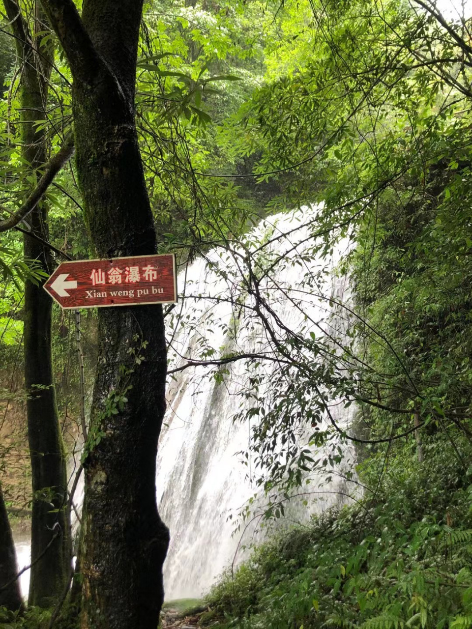 江油藏王寨老君山图片