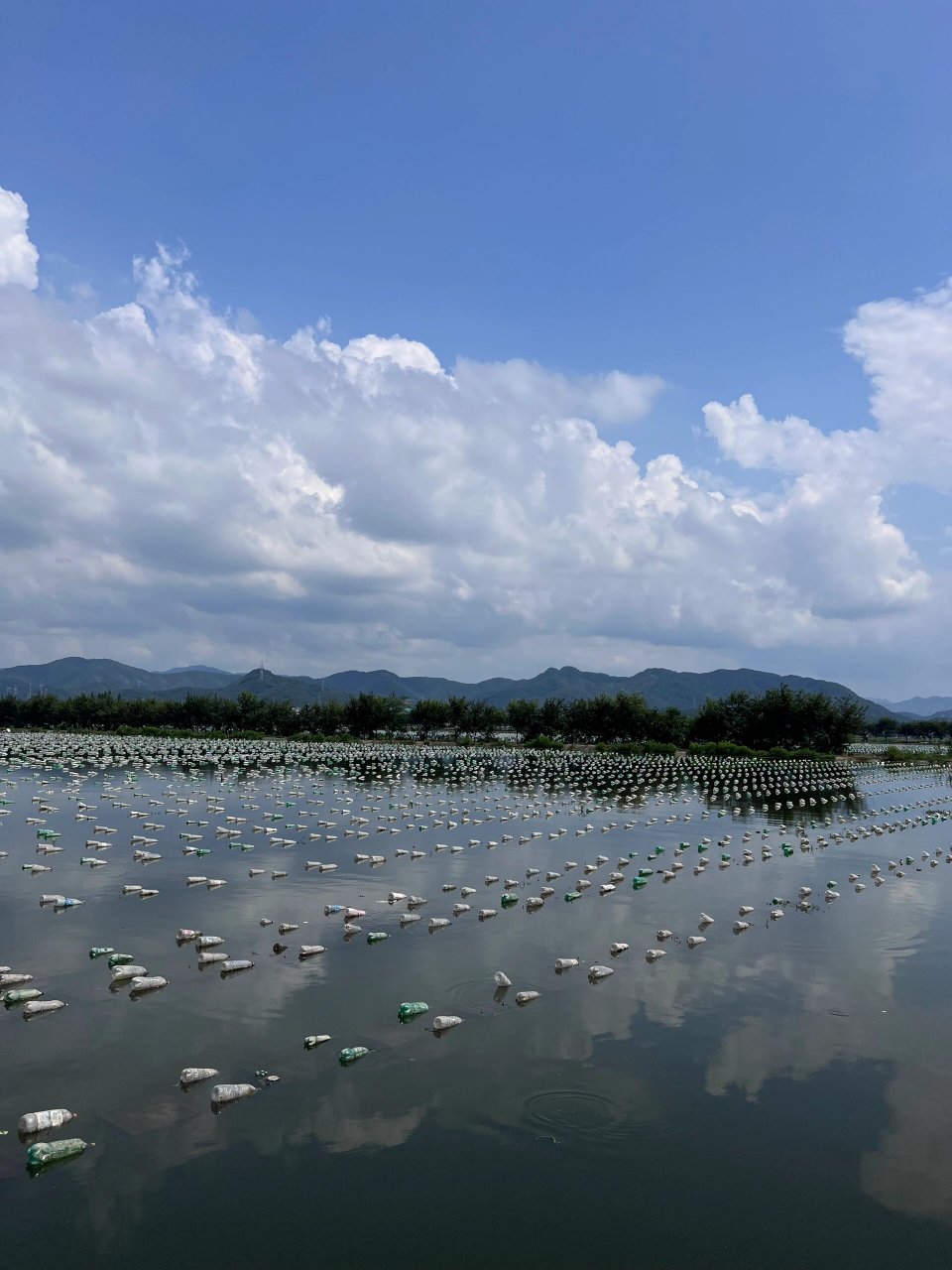 人在诸暨 最大的珍珠养殖基地 随便问 太喜欢珍珠了,干脆直接来珍珠