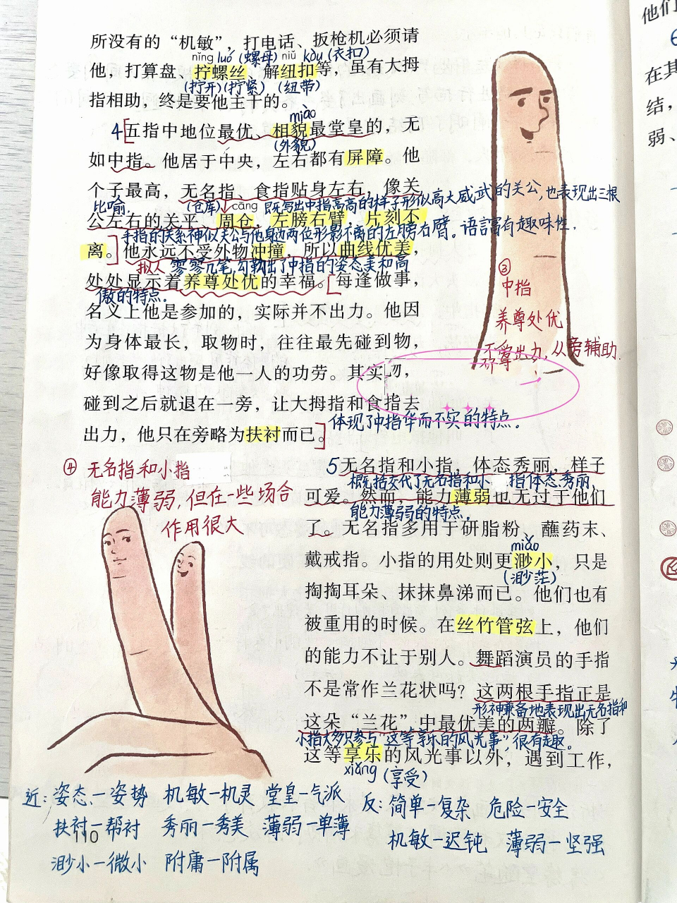 《手指》 部编本 五年级下册语文 第八单元第22课《手指》课堂笔记