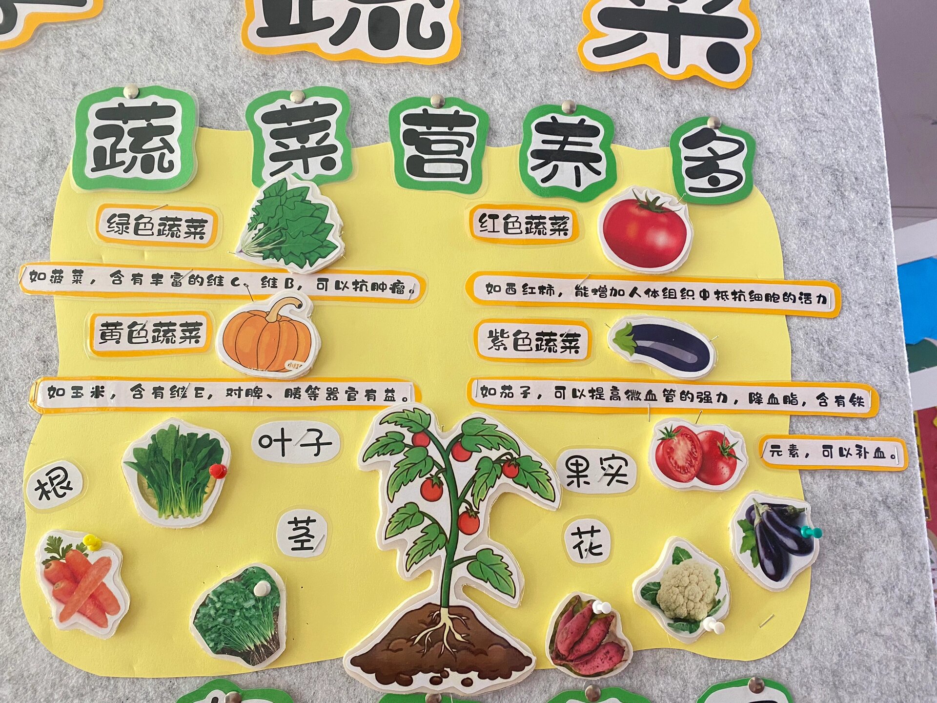 幼儿园主题墙《四季蔬菜》 想要细节图来私聊