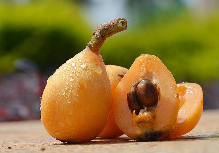 冬季养生新选择——枇杷秋梨膏 冬季养生新选择——枇杷秋梨膏