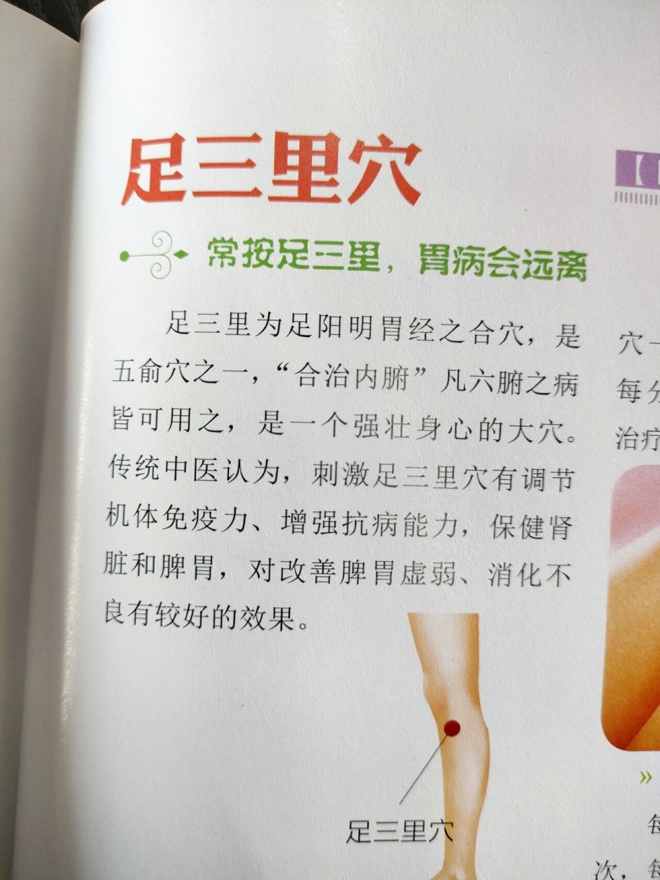 调理肠胃特效穴位|足三里穴 足三里为足阳明胃经之合穴,是五俞穴之一