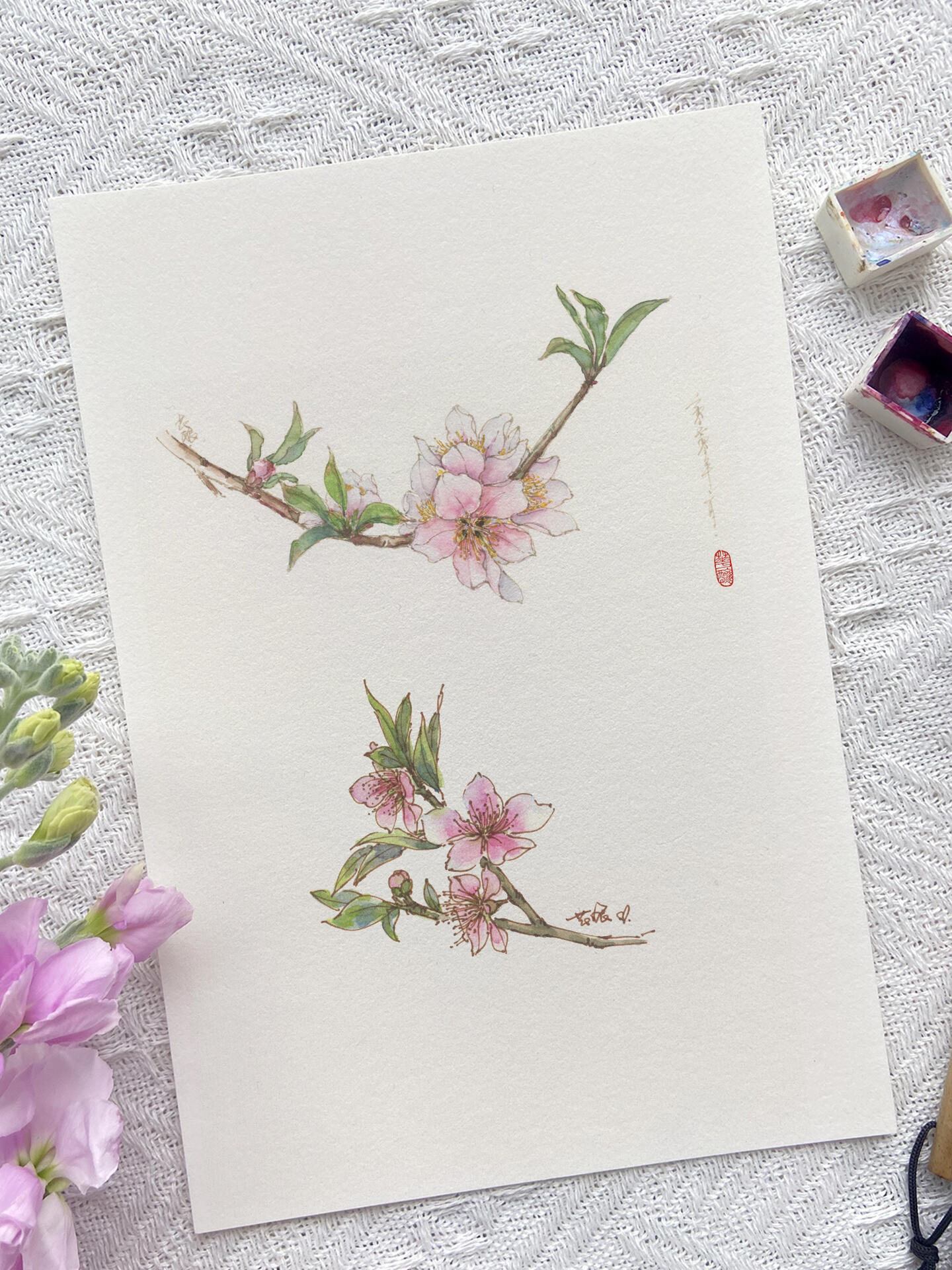 古风花卉丨水彩手绘·桃花始翩然