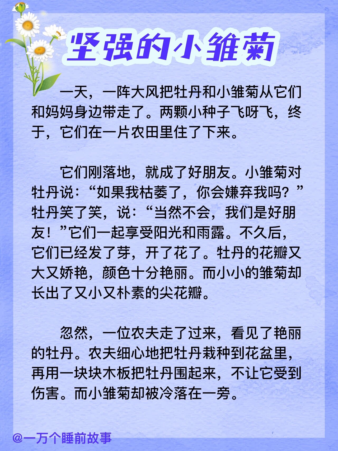 《坚强的小雏菊》幼儿哄睡童话故事day366