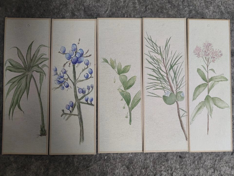 中草药国风书签