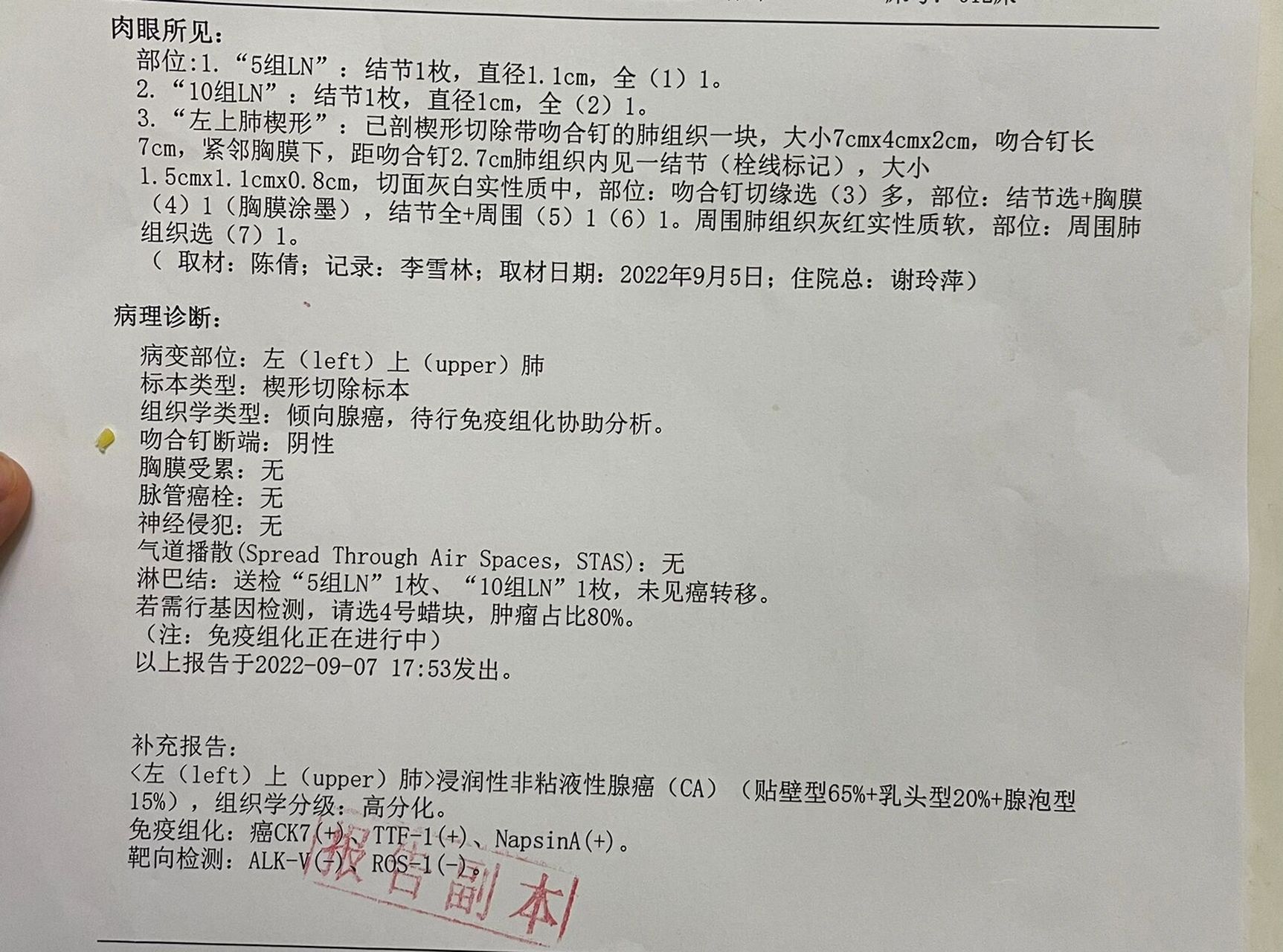 肺腺癌病理报告术语图片