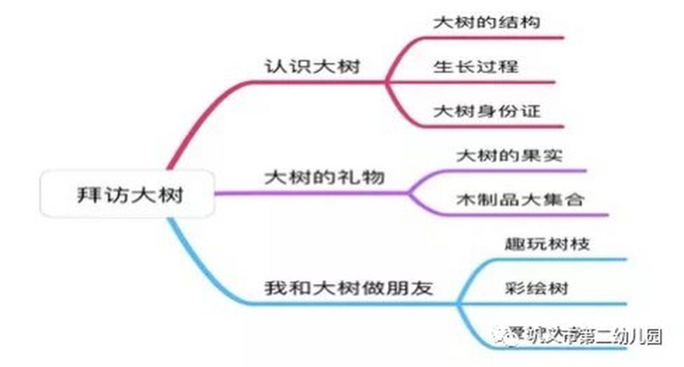 拜访大树主题活动目标图片