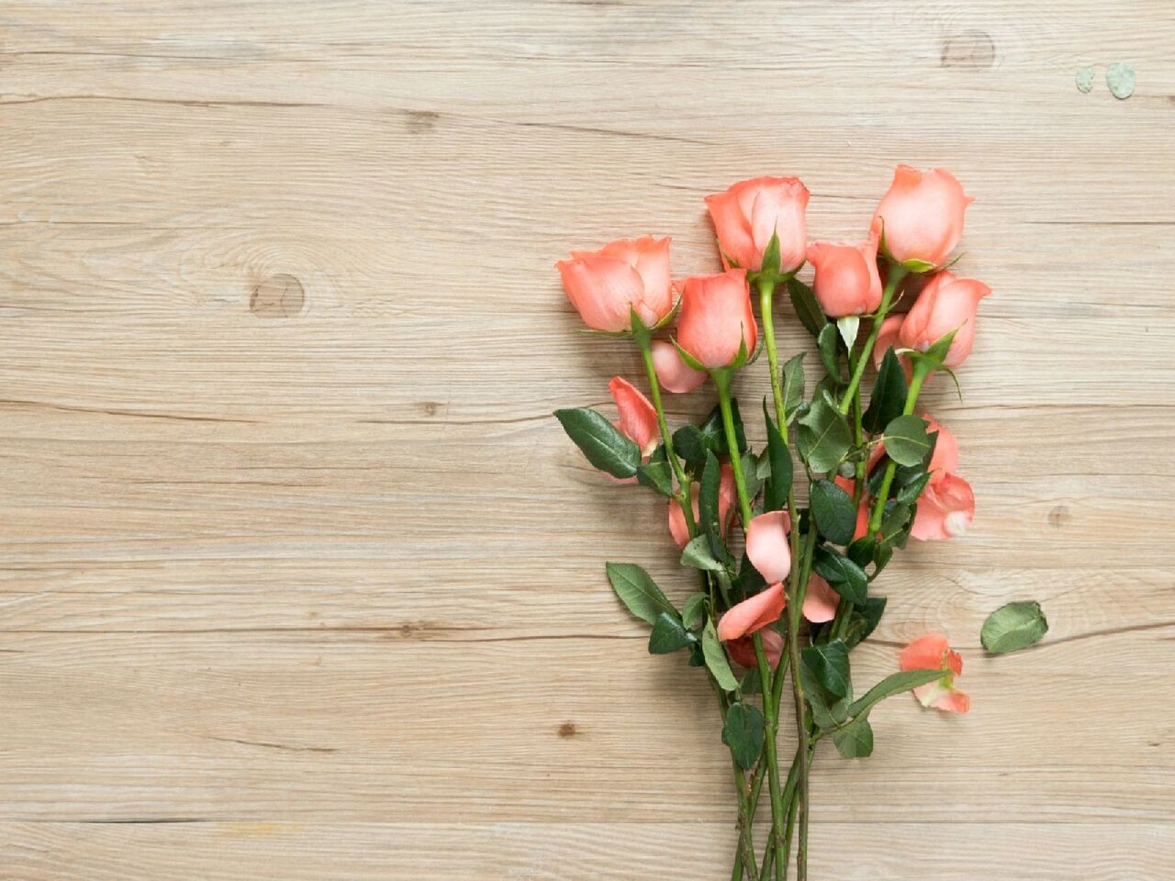 鲜花桌面背景图 喜欢清淡治愈的鲜花花瓣儿很轻盈又很唯美 玫瑰花95